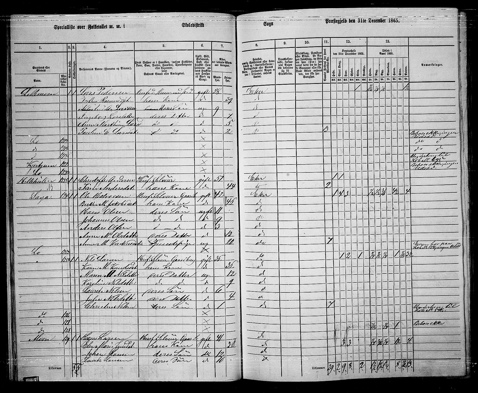 RA, 1865 census for Eiker, 1865, p. 37