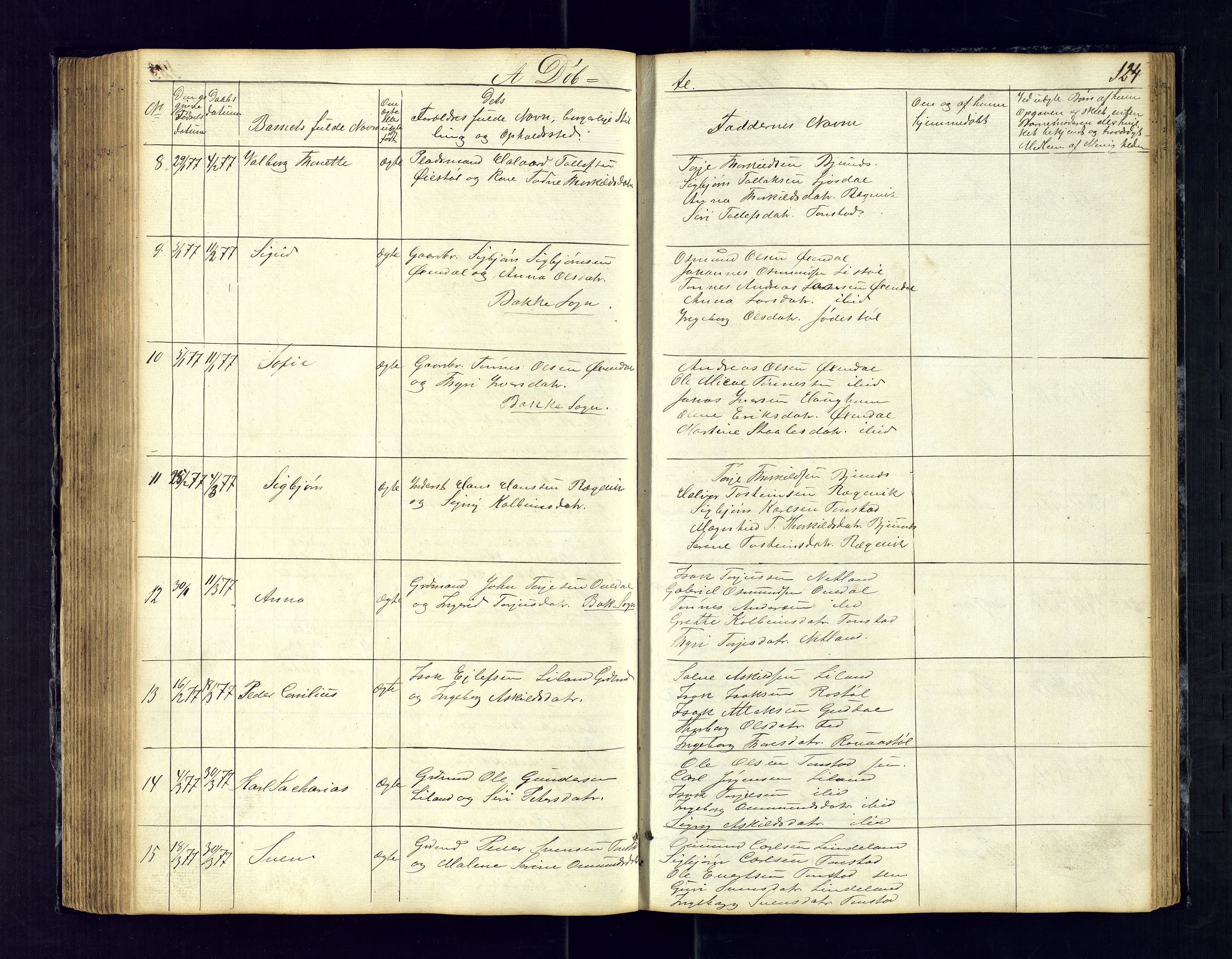 Sirdal sokneprestkontor, SAK/1111-0036/F/Fb/Fbb/L0002: Parish register (copy) no. B-2, 1848-1878, p. 124