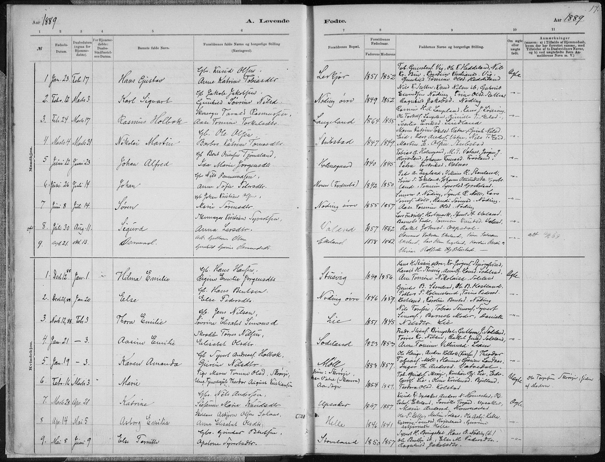 Holum sokneprestkontor, SAK/1111-0022/F/Fa/Faa/L0007: Parish register (official) no. A 7, 1884-1907, p. 17