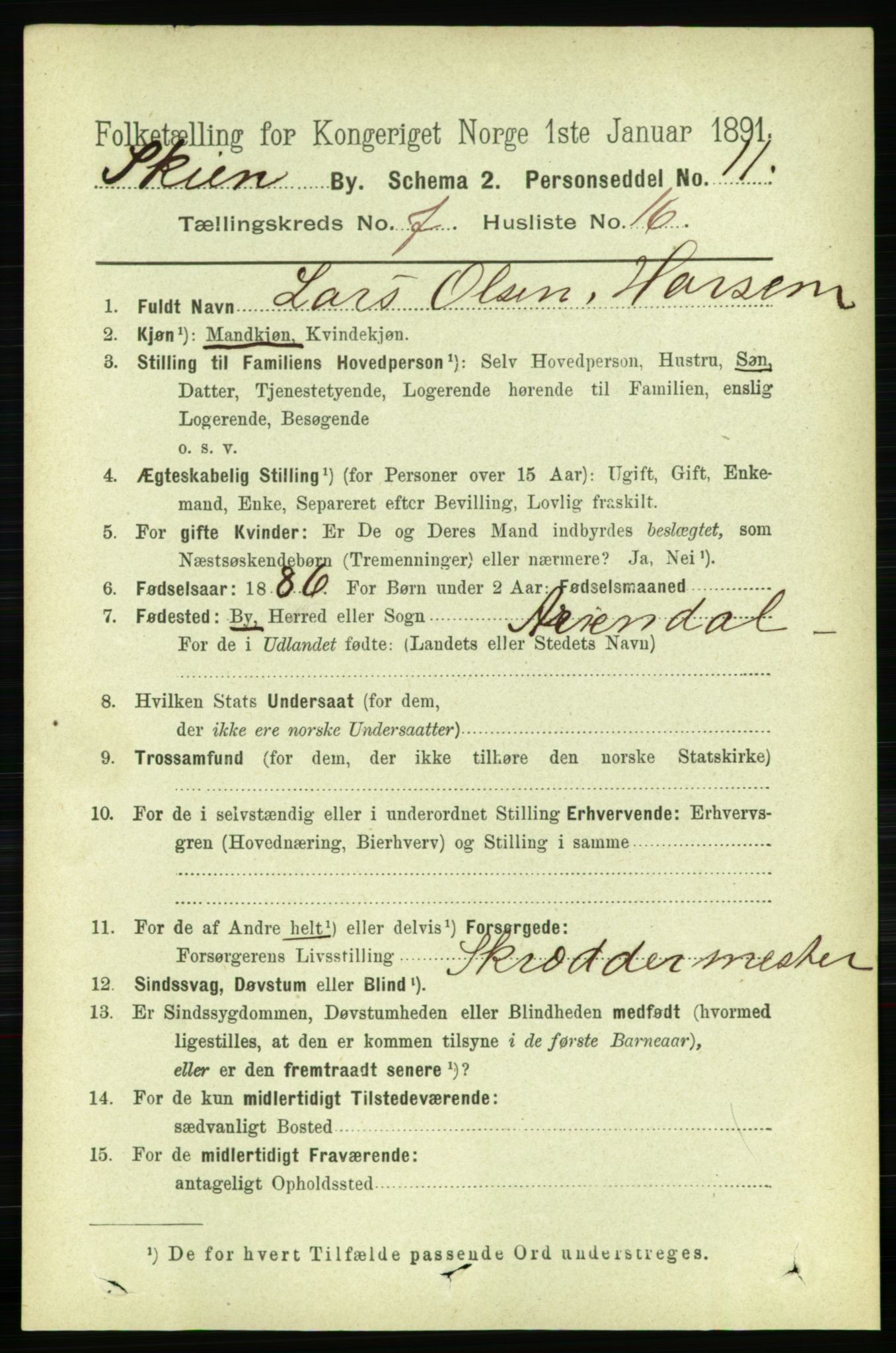 RA, 1891 census for 0806 Skien, 1891, p. 3262