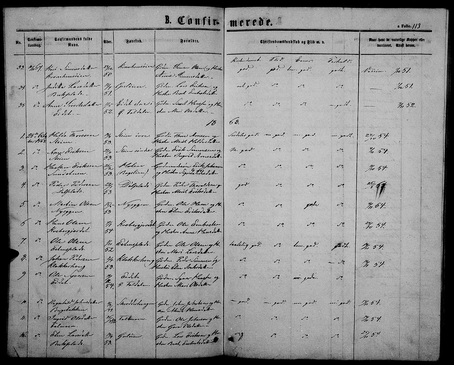 Alvdal prestekontor, SAH/PREST-060/H/Ha/Hab/L0002: Parish register (copy) no. 2, 1863-1878, p. 113
