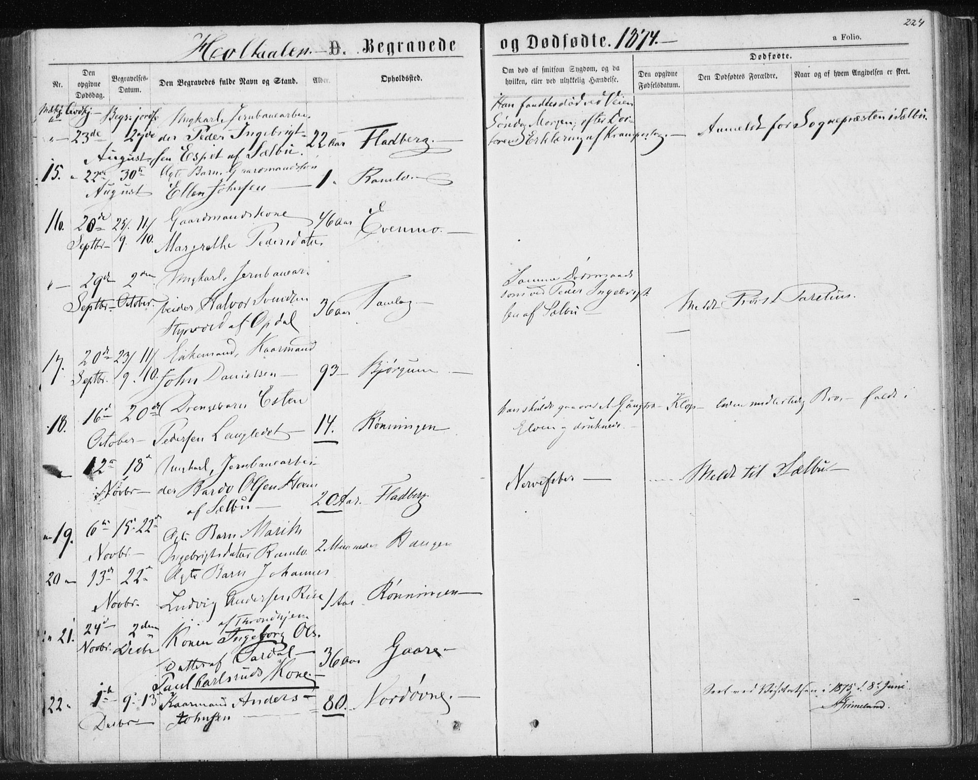 Ministerialprotokoller, klokkerbøker og fødselsregistre - Sør-Trøndelag, SAT/A-1456/685/L0969: Parish register (official) no. 685A08 /1, 1870-1878, p. 224