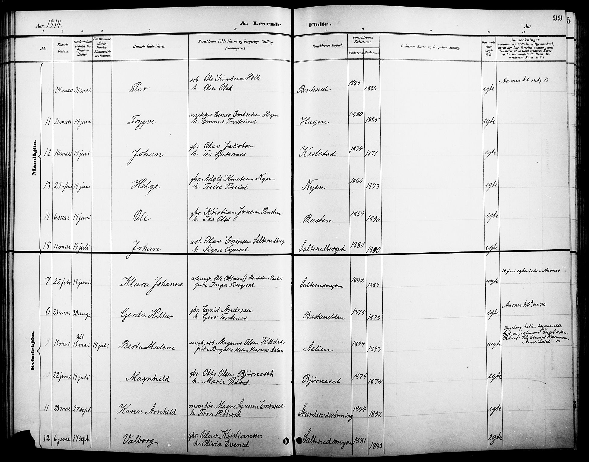 Åsnes prestekontor, AV/SAH-PREST-042/H/Ha/Hab/L0005: Parish register (copy) no. 5, 1895-1920, p. 99