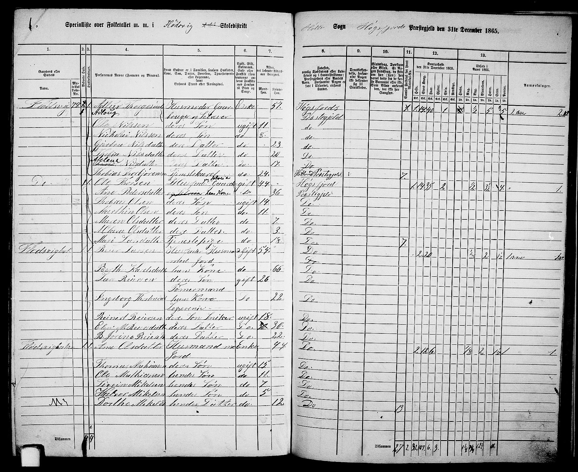 RA, 1865 census for Høgsfjord, 1865, p. 127