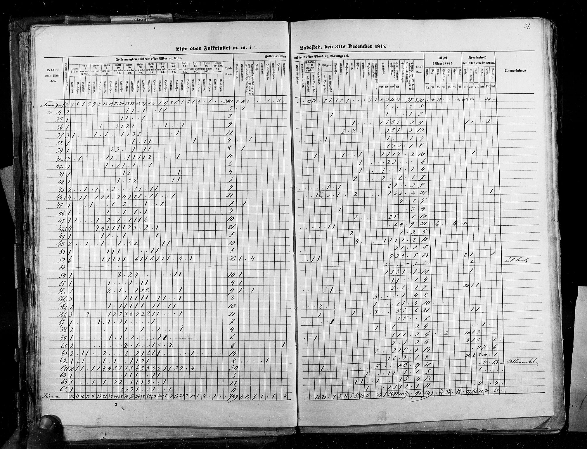 RA, Census 1845, vol. 2: Smålenenes amt og Akershus amt, 1845, p. 31