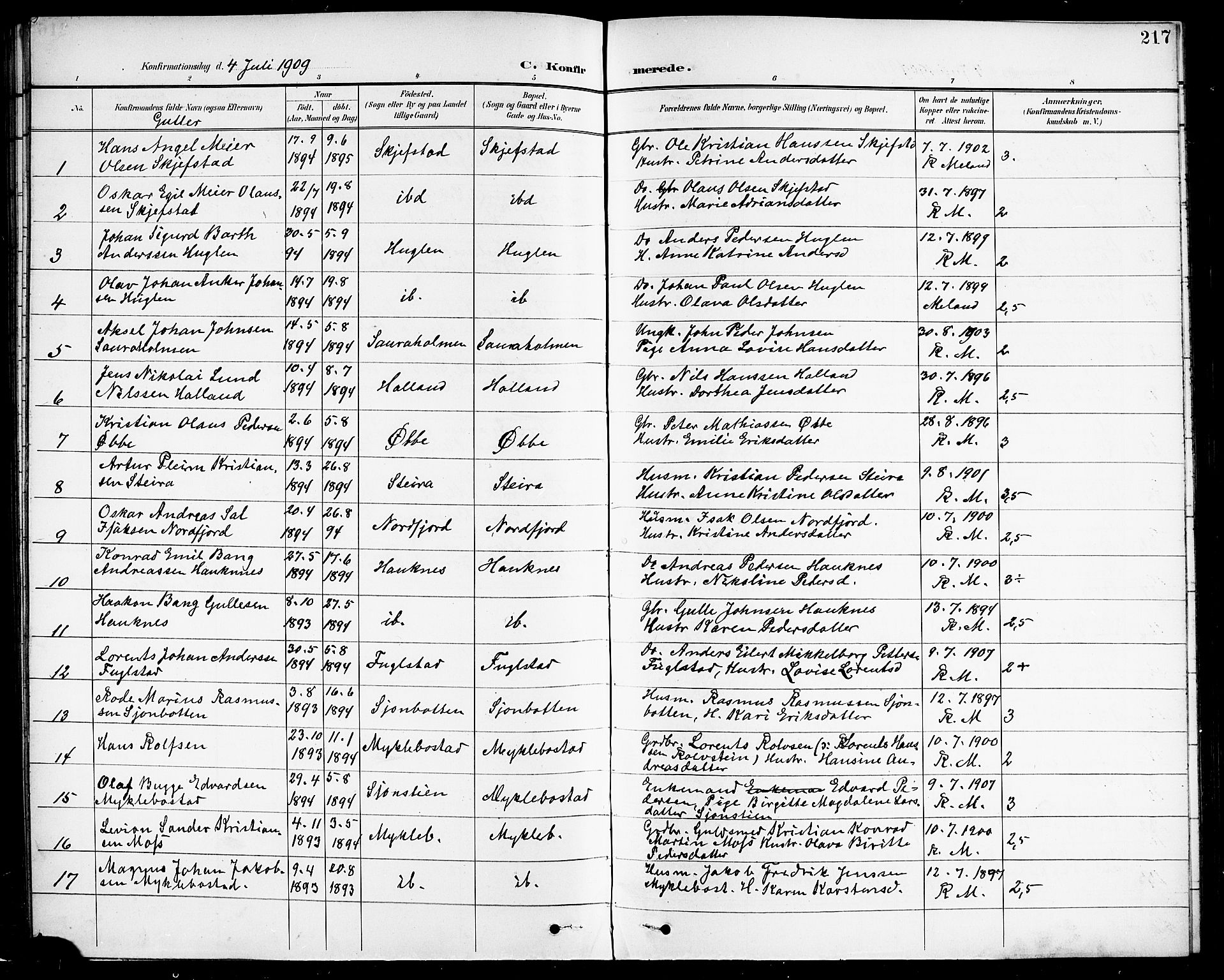 Ministerialprotokoller, klokkerbøker og fødselsregistre - Nordland, SAT/A-1459/838/L0559: Parish register (copy) no. 838C06, 1893-1910, p. 217