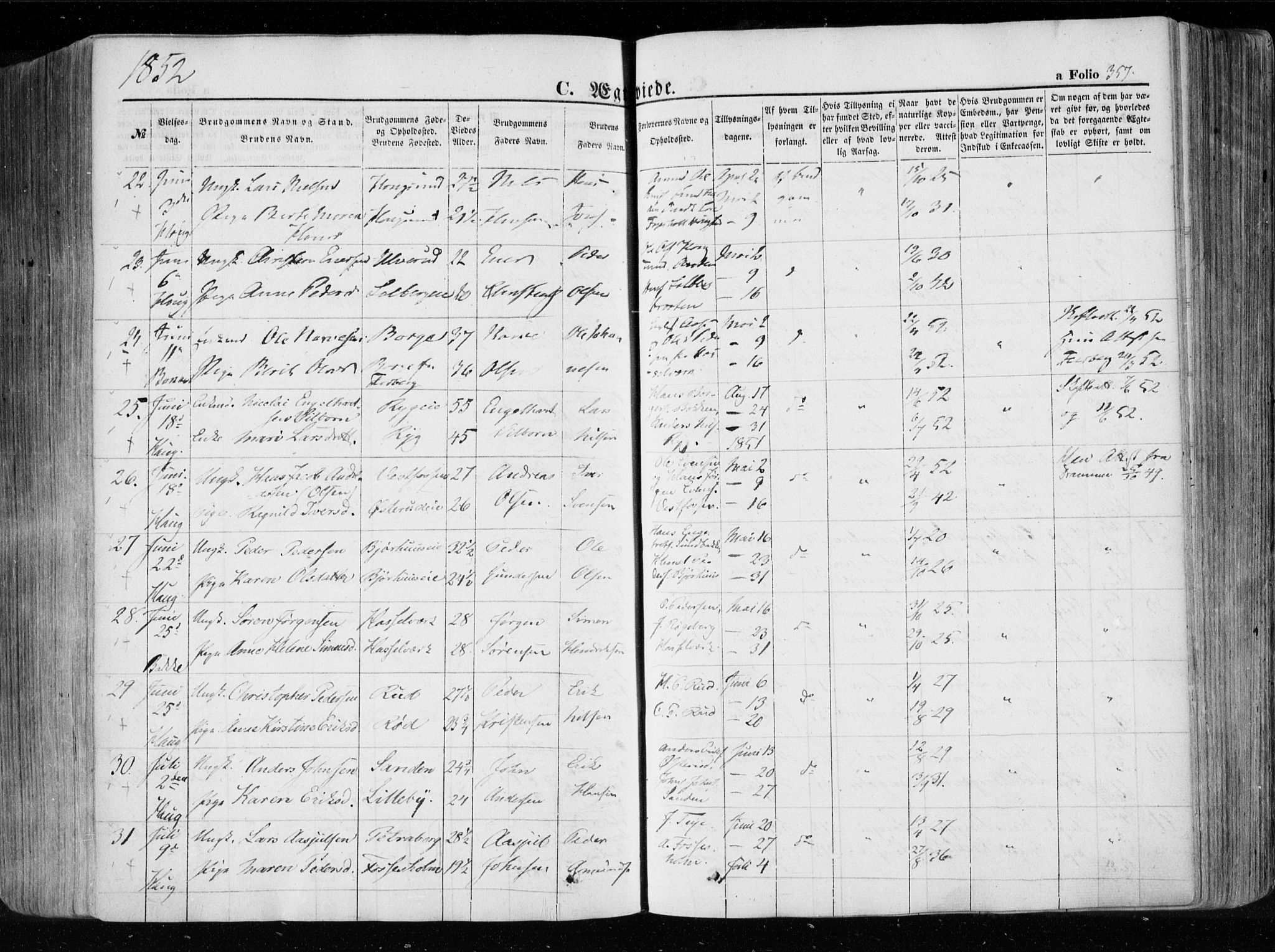 Eiker kirkebøker, SAKO/A-4/F/Fa/L0014: Parish register (official) no. I 14, 1846-1854, p. 357