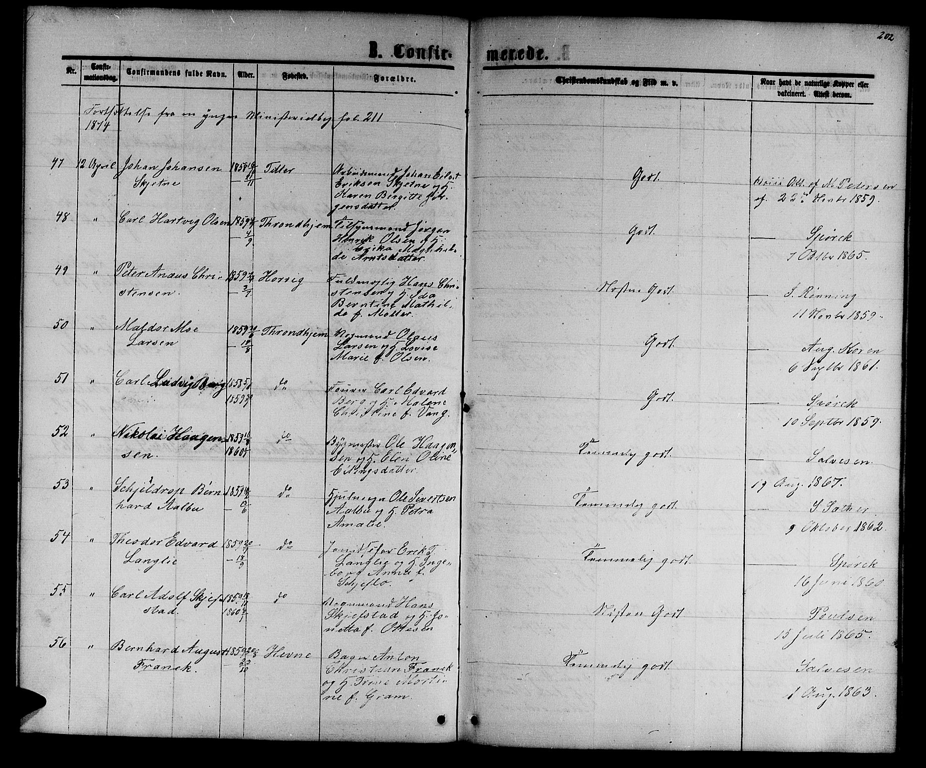 Ministerialprotokoller, klokkerbøker og fødselsregistre - Sør-Trøndelag, SAT/A-1456/601/L0087: Parish register (copy) no. 601C05, 1864-1881, p. 202