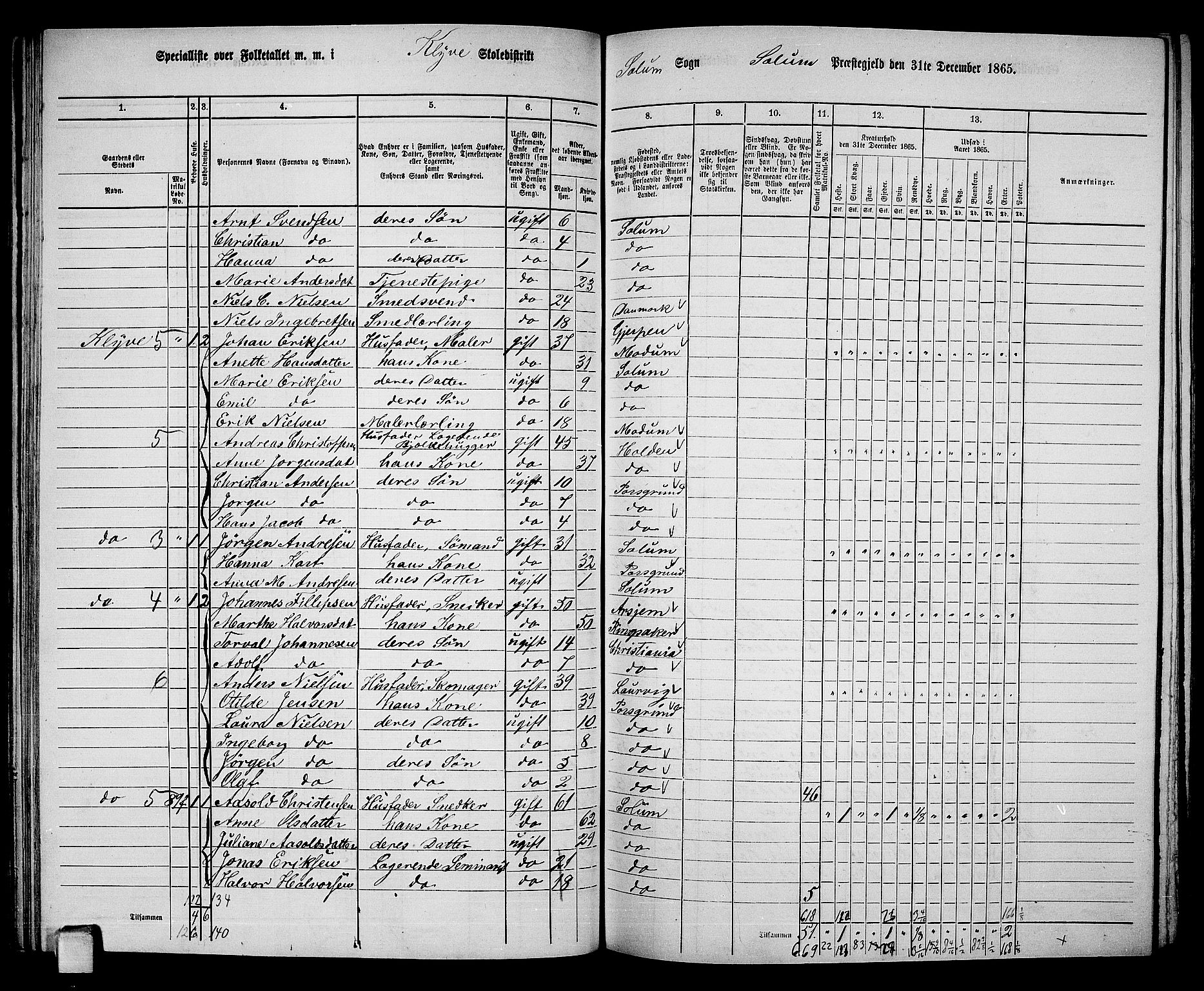 RA, 1865 census for Solum, 1865, p. 92