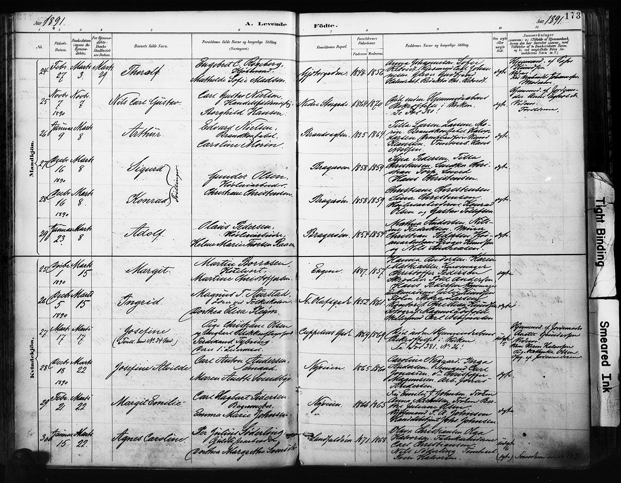 Bragernes kirkebøker, AV/SAKO-A-6/F/Fb/L0007: Parish register (official) no. II 7, 1885-1893, p. 173