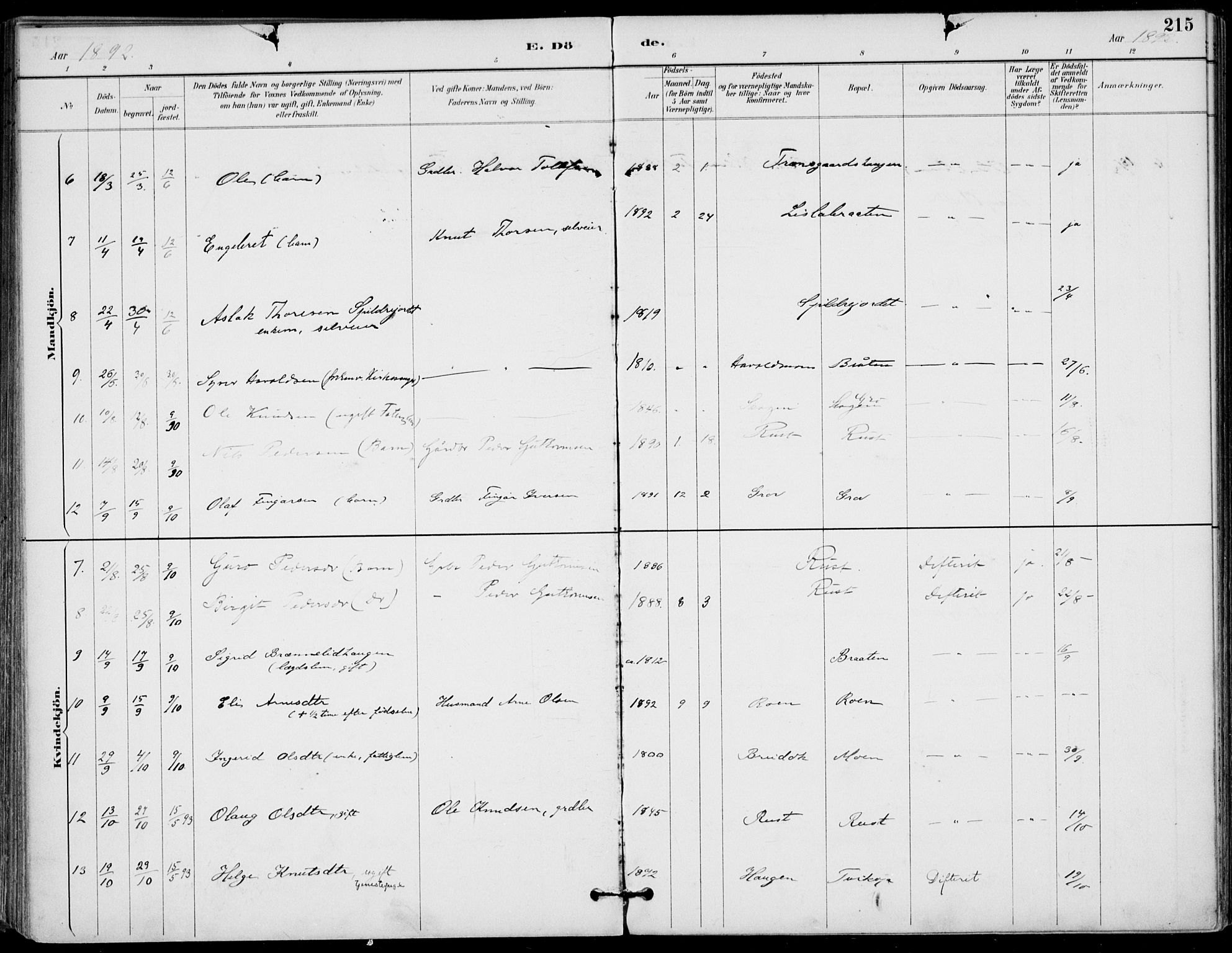 Gol kirkebøker, SAKO/A-226/F/Fa/L0005: Parish register (official) no. I 5, 1887-1900, p. 215