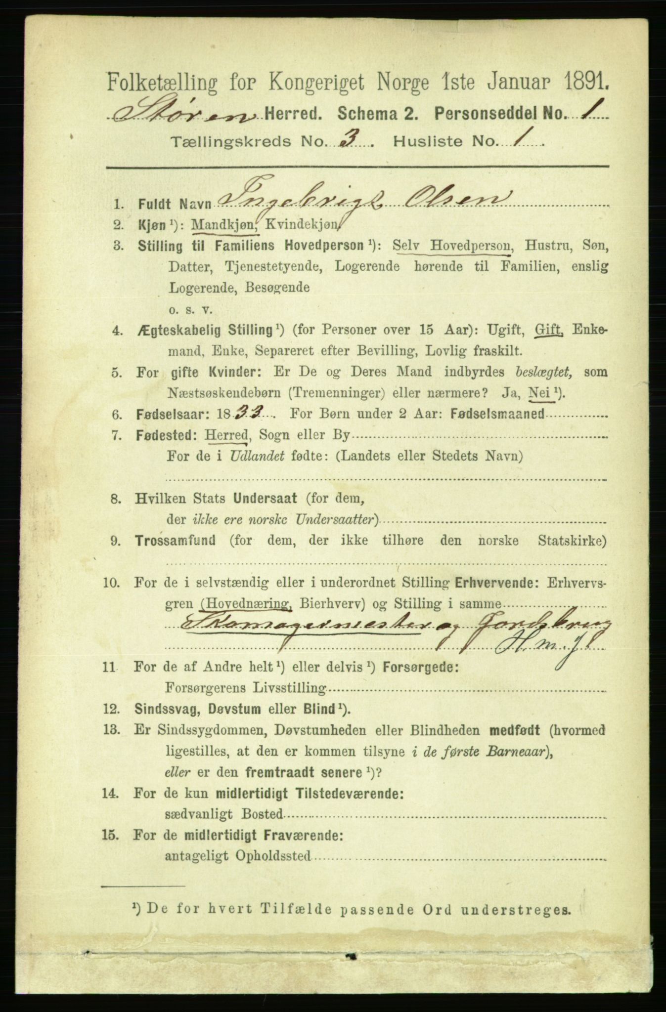 RA, 1891 census for 1648 Støren, 1891, p. 791