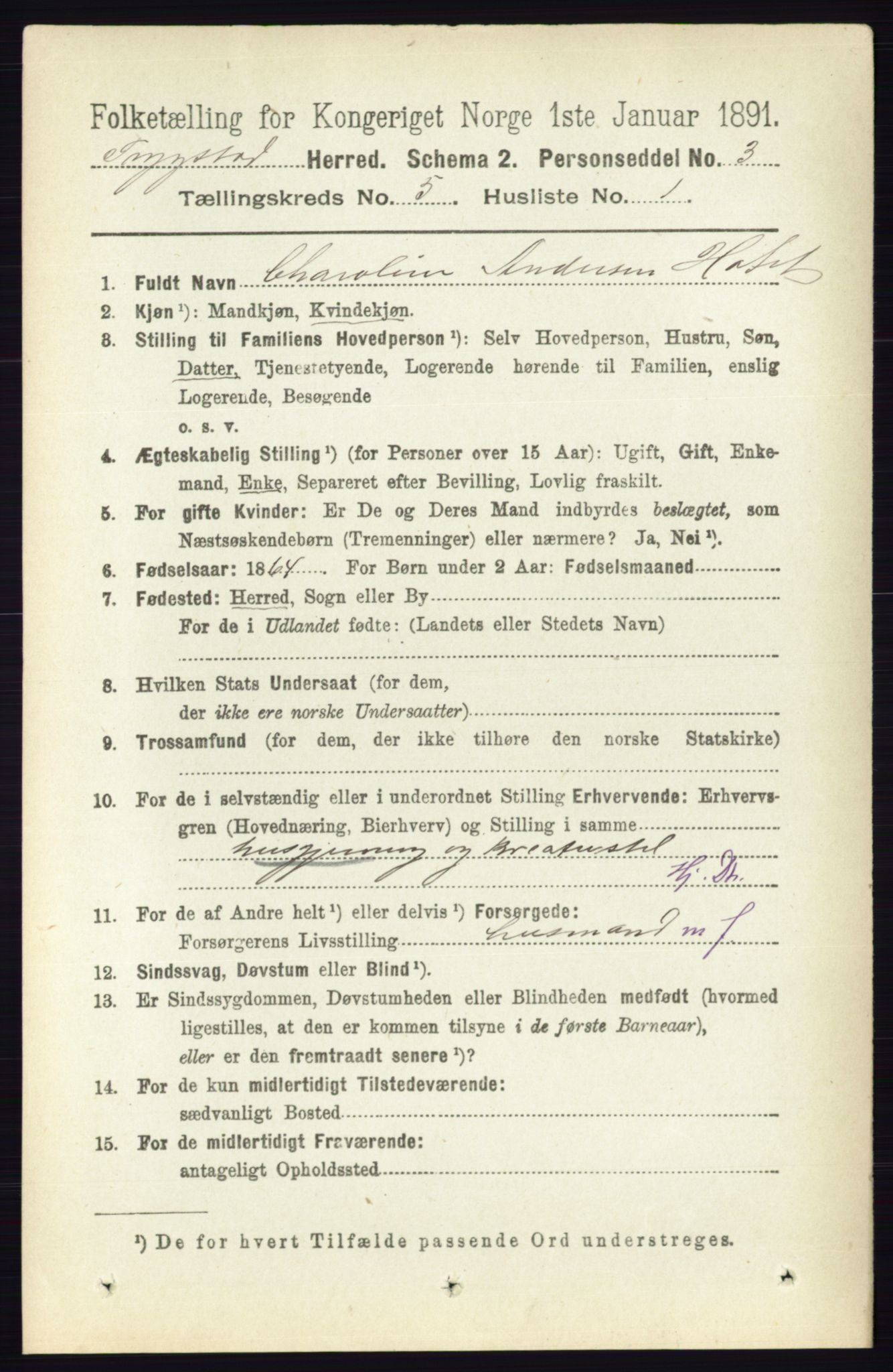 RA, 1891 Census for 0122 Trøgstad, 1891, p. 2028