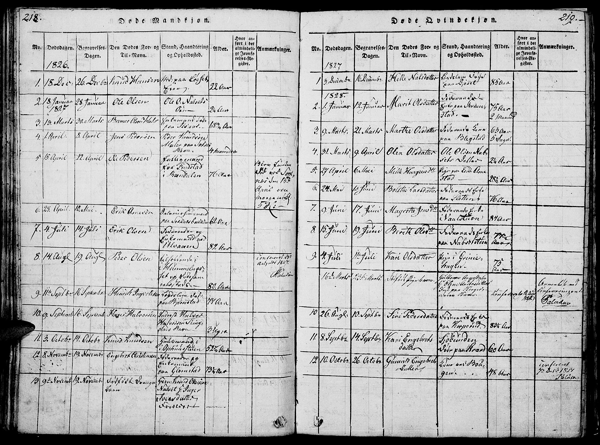 Åmot prestekontor, Hedmark, SAH/PREST-056/H/Ha/Hab/L0001: Parish register (copy) no. 1, 1815-1847, p. 218-219