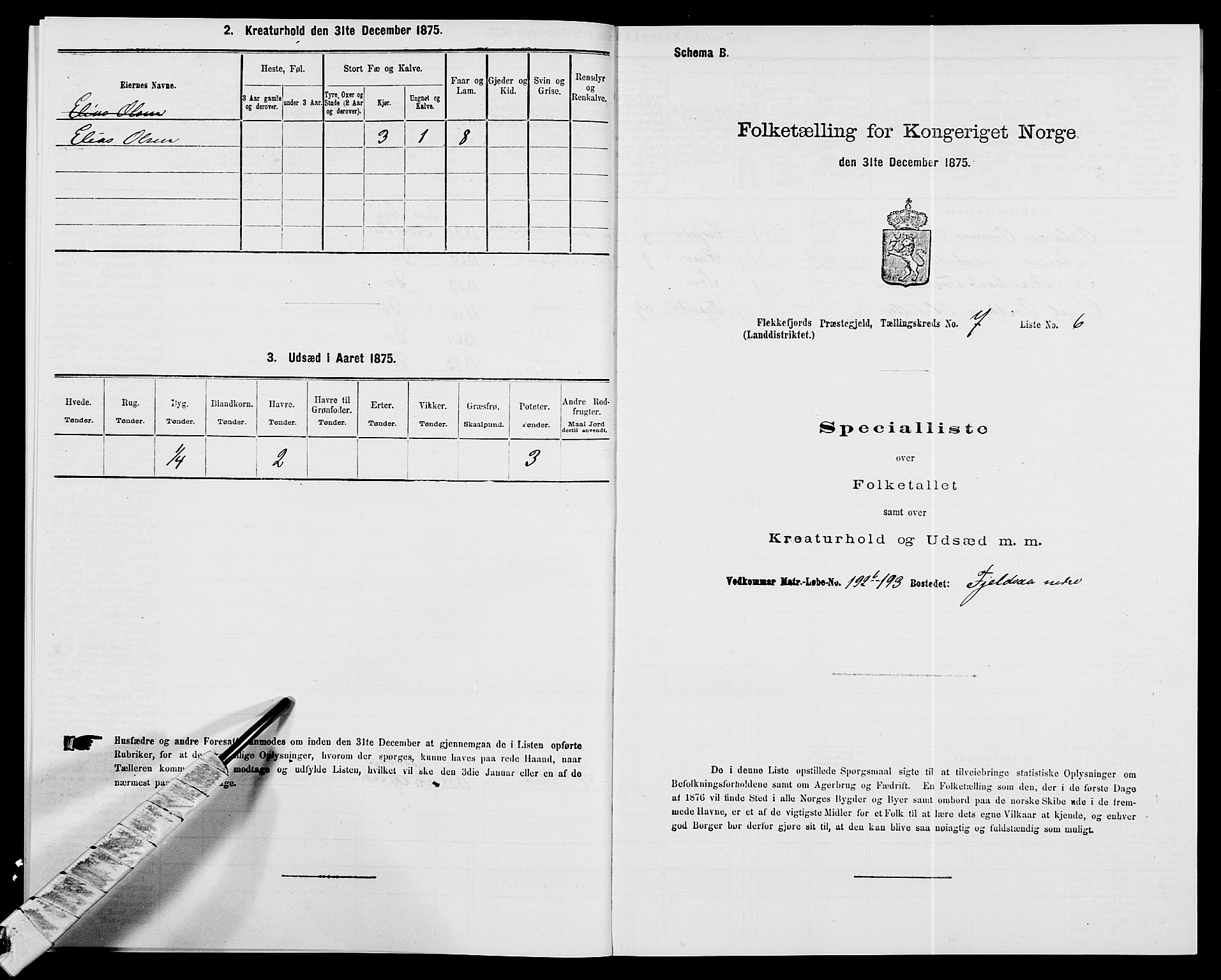 SAK, 1875 census for 1042L Flekkefjord/Nes og Hidra, 1875, p. 873