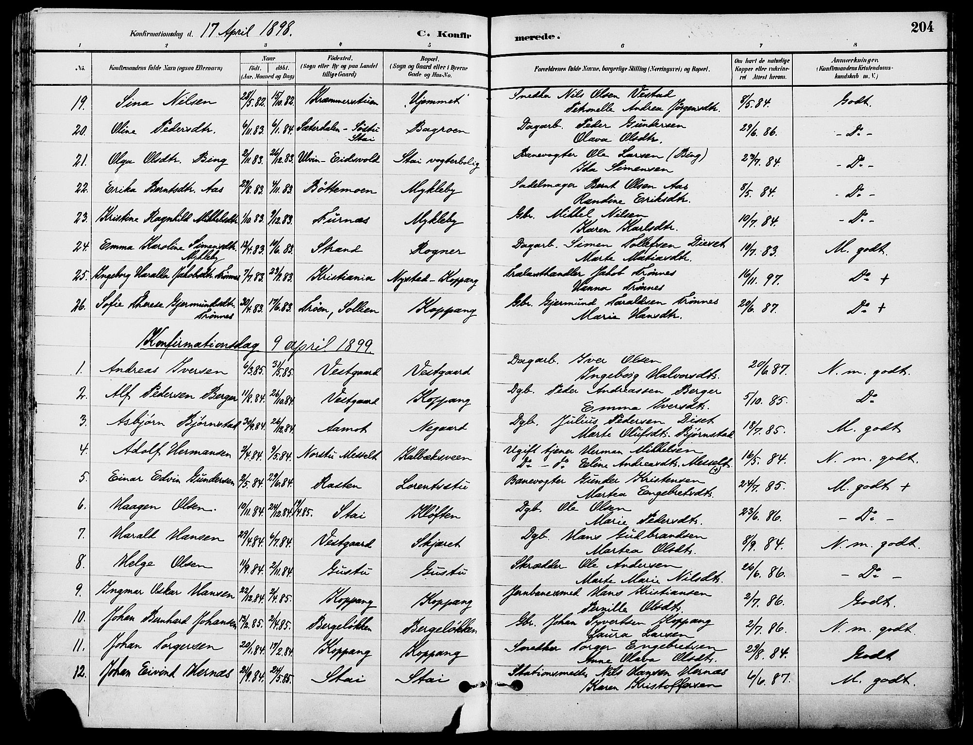 Stor-Elvdal prestekontor, SAH/PREST-052/H/Ha/Haa/L0002: Parish register (official) no. 2, 1882-1907, p. 204