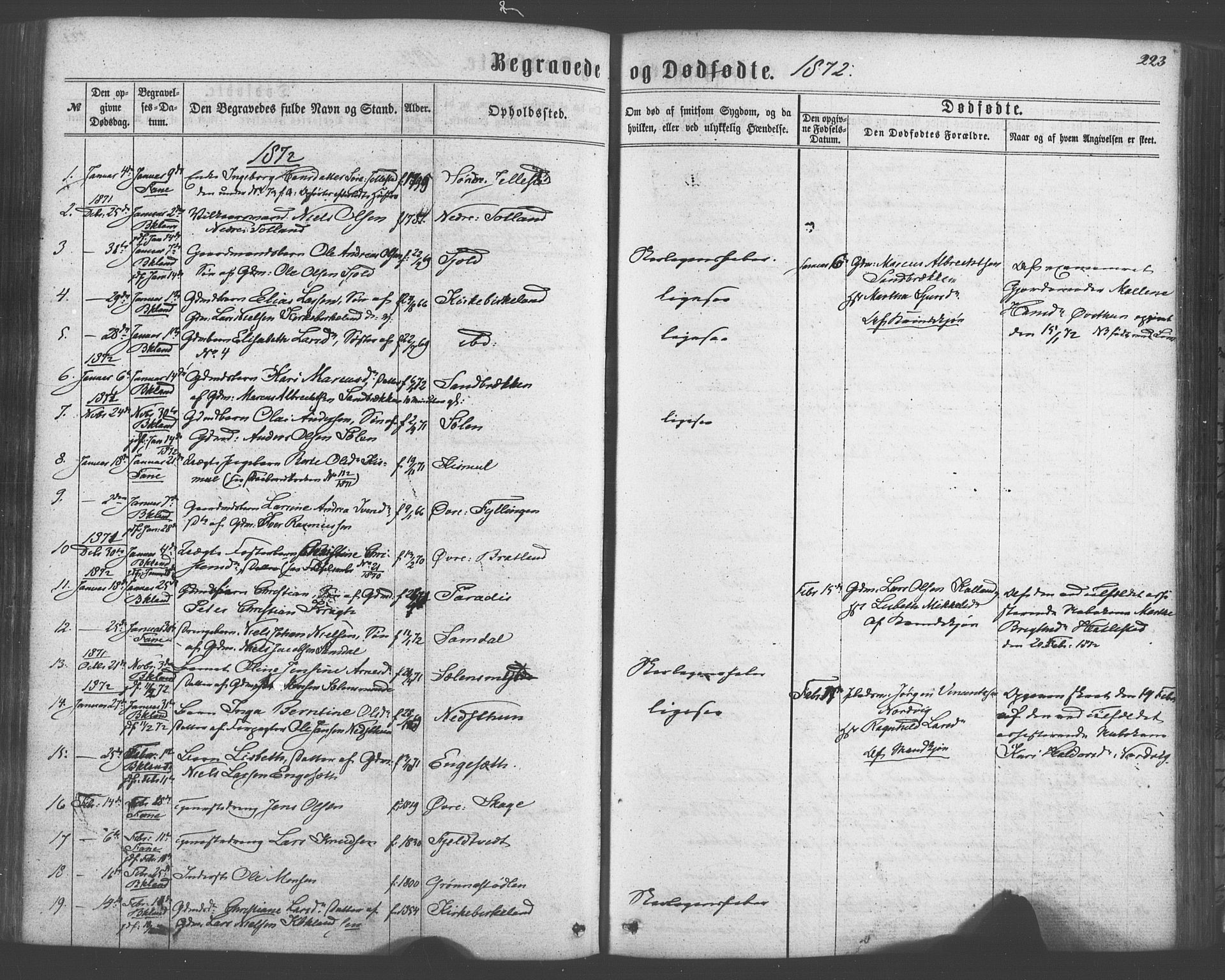 Fana Sokneprestembete, AV/SAB-A-75101/H/Haa/Haaa/L0012: Parish register (official) no. A 12, 1862-1878, p. 223