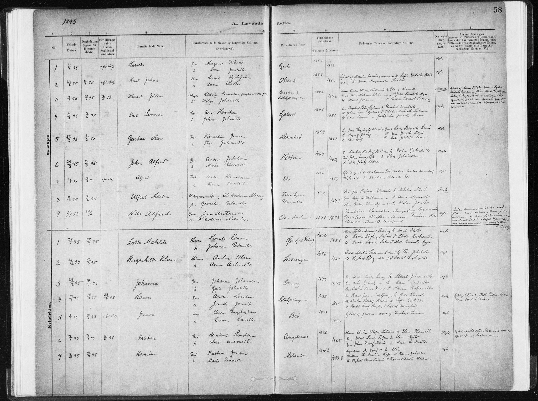 Ministerialprotokoller, klokkerbøker og fødselsregistre - Sør-Trøndelag, SAT/A-1456/634/L0533: Parish register (official) no. 634A09, 1882-1901, p. 58