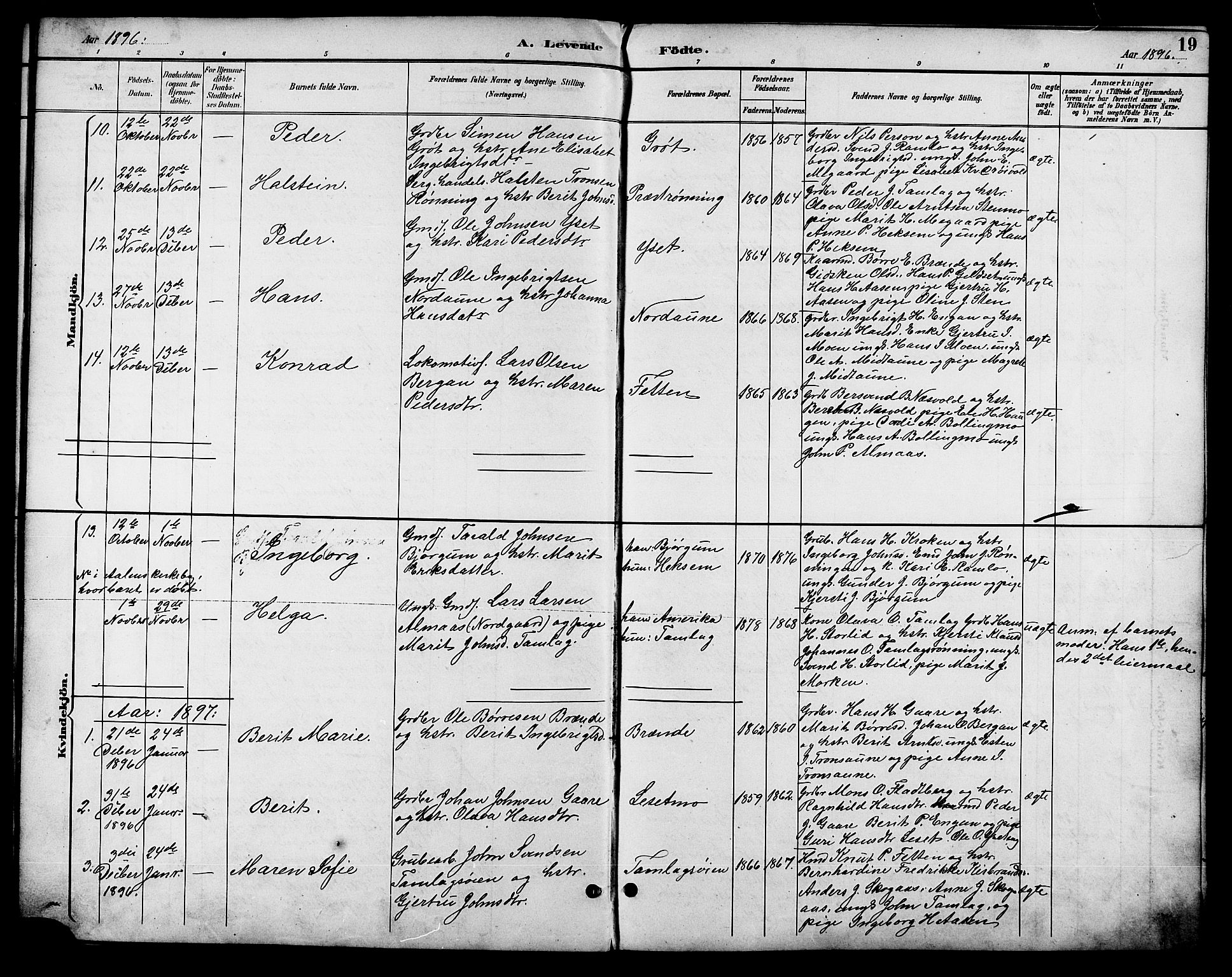 Ministerialprotokoller, klokkerbøker og fødselsregistre - Sør-Trøndelag, SAT/A-1456/685/L0978: Parish register (copy) no. 685C03, 1891-1907, p. 19