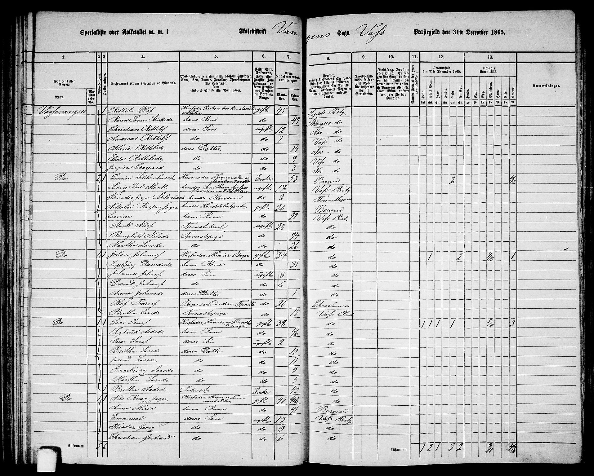 RA, 1865 census for Voss, 1865, p. 60