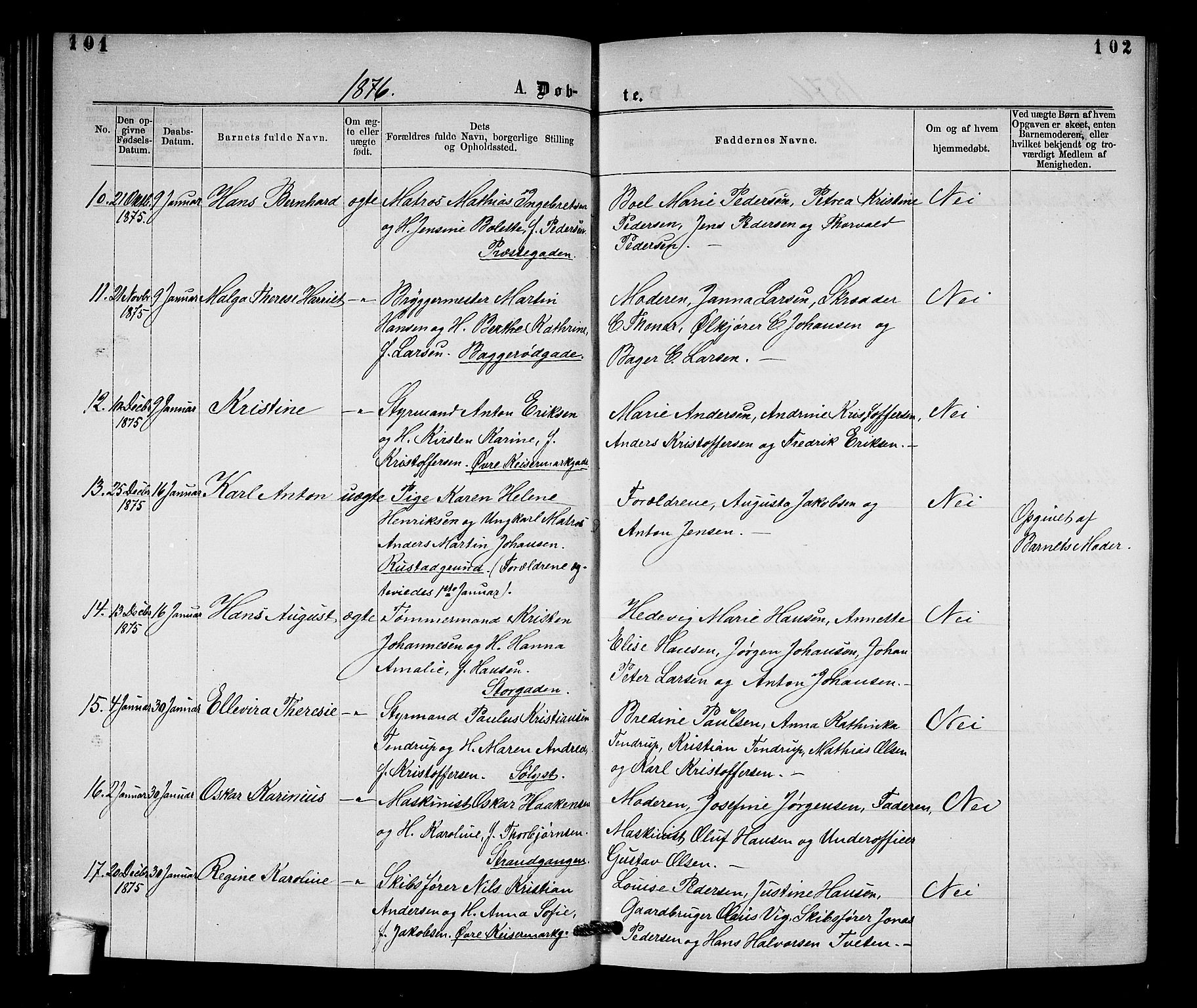 Horten kirkebøker, AV/SAKO-A-348/G/Ga/L0003: Parish register (copy) no. 3, 1872-1877, p. 101-102