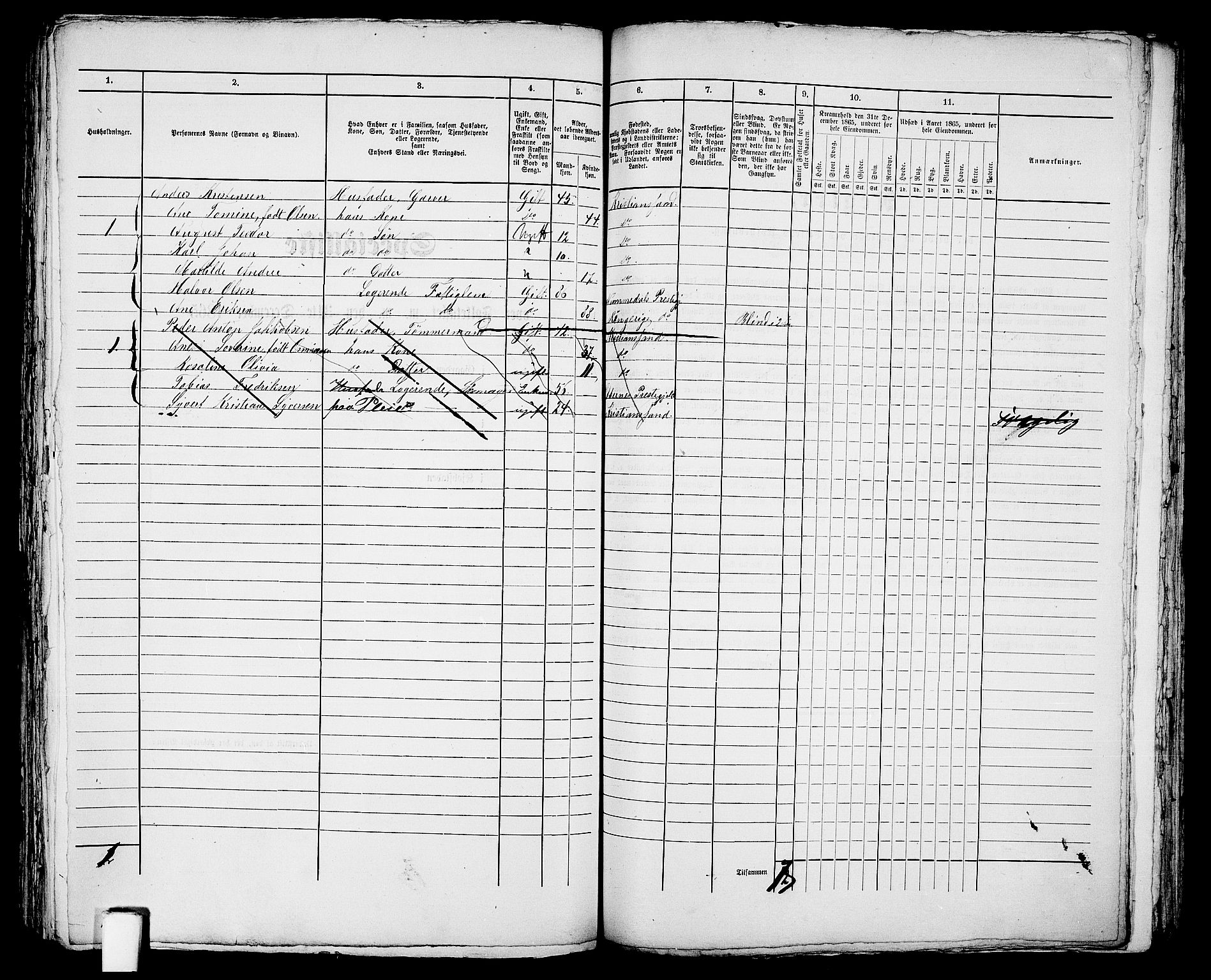 RA, 1865 census for Kristiansand, 1865, p. 1460