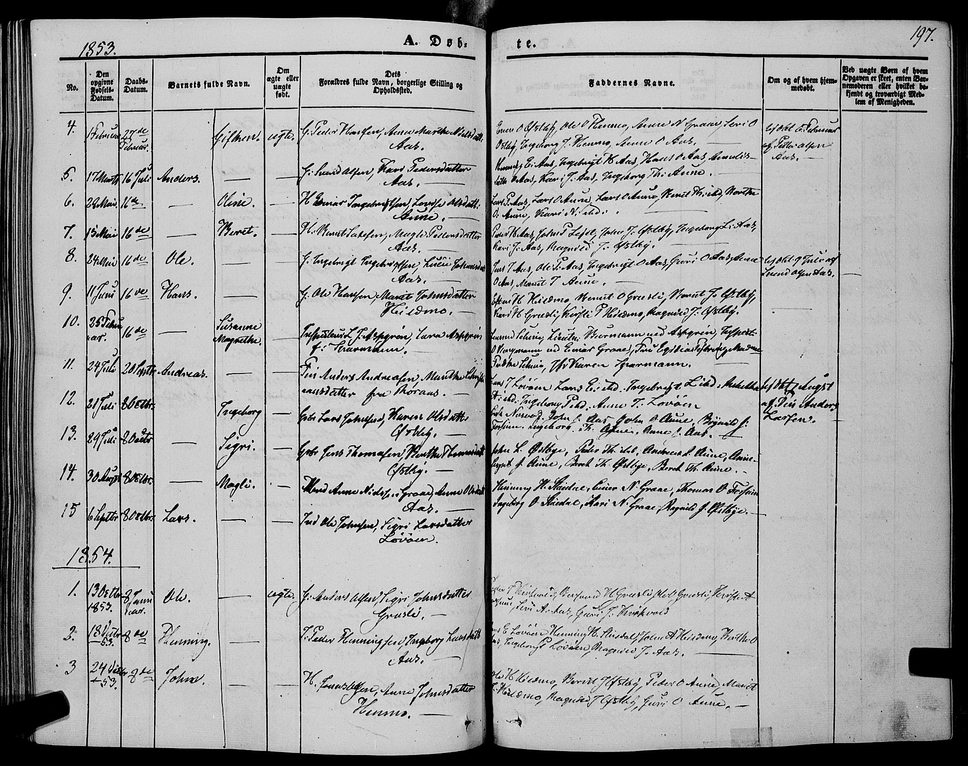 Ministerialprotokoller, klokkerbøker og fødselsregistre - Sør-Trøndelag, SAT/A-1456/695/L1146: Parish register (official) no. 695A06 /2, 1843-1859, p. 197