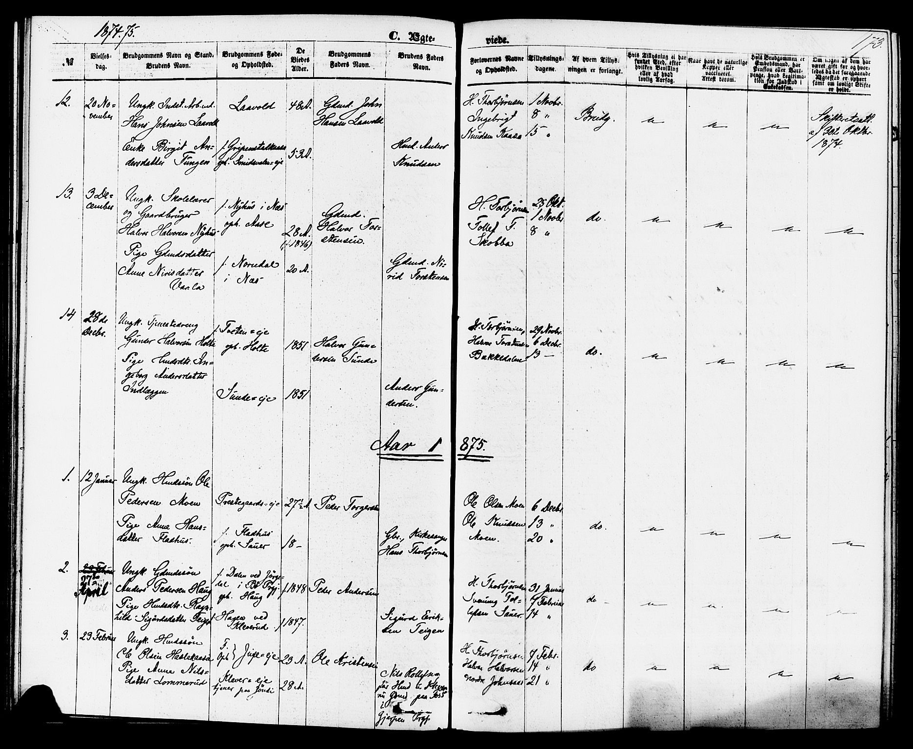 Sauherad kirkebøker, AV/SAKO-A-298/F/Fa/L0008: Parish register (official) no. I 8, 1873-1886, p. 173