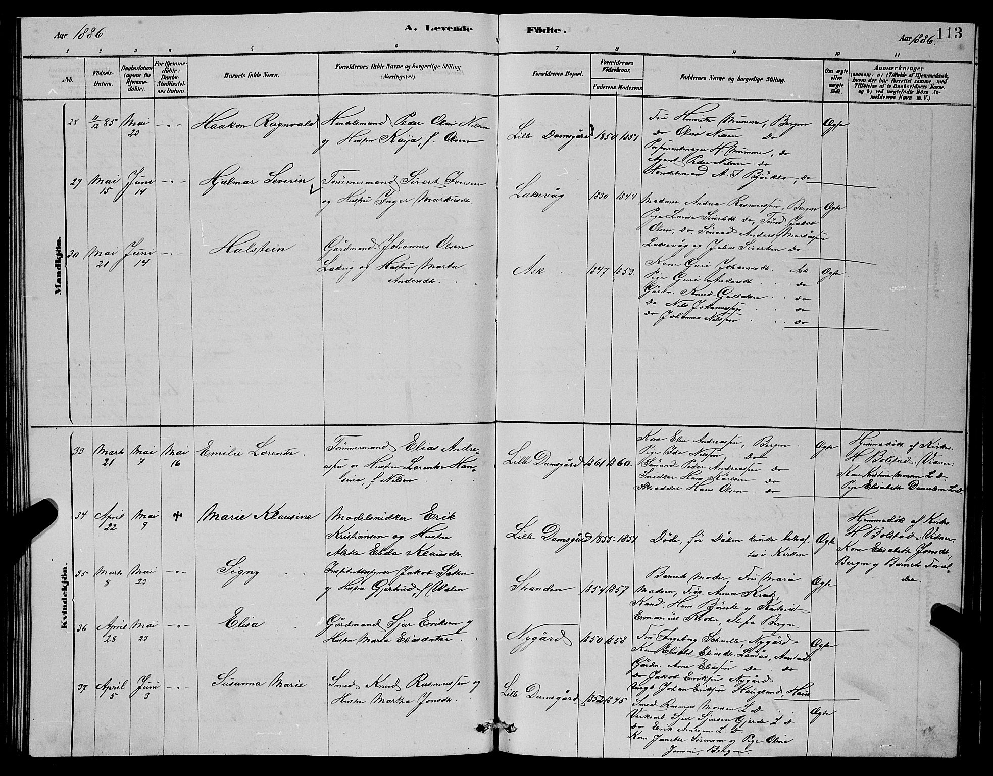 Laksevåg Sokneprestembete, AV/SAB-A-76501/H/Ha/Hab/Haba/L0002: Parish register (copy) no. A 2, 1877-1887, p. 113