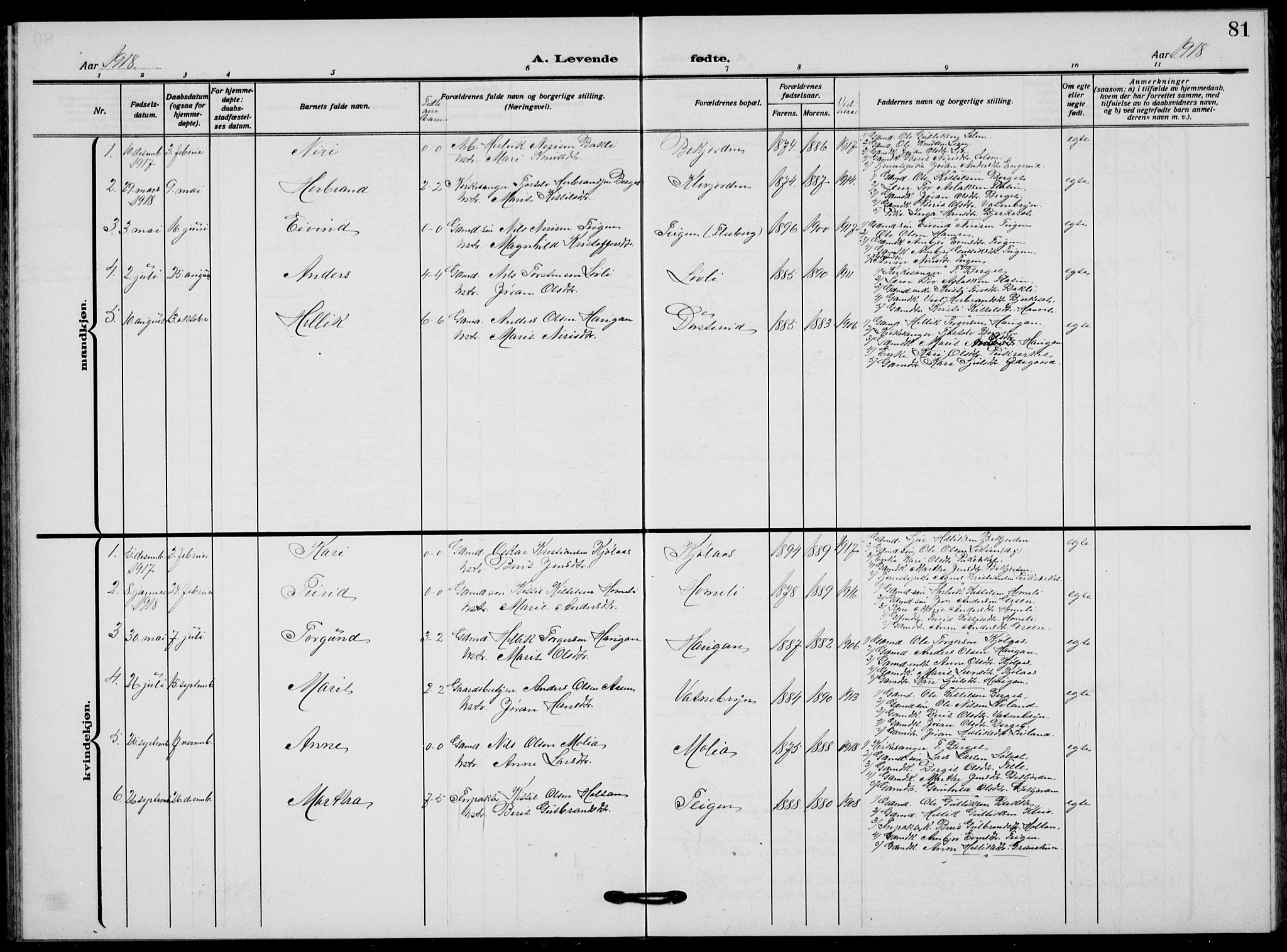 Flesberg kirkebøker, AV/SAKO-A-18/G/Ga/L0006: Parish register (copy) no. I 6, 1909-1924, p. 81