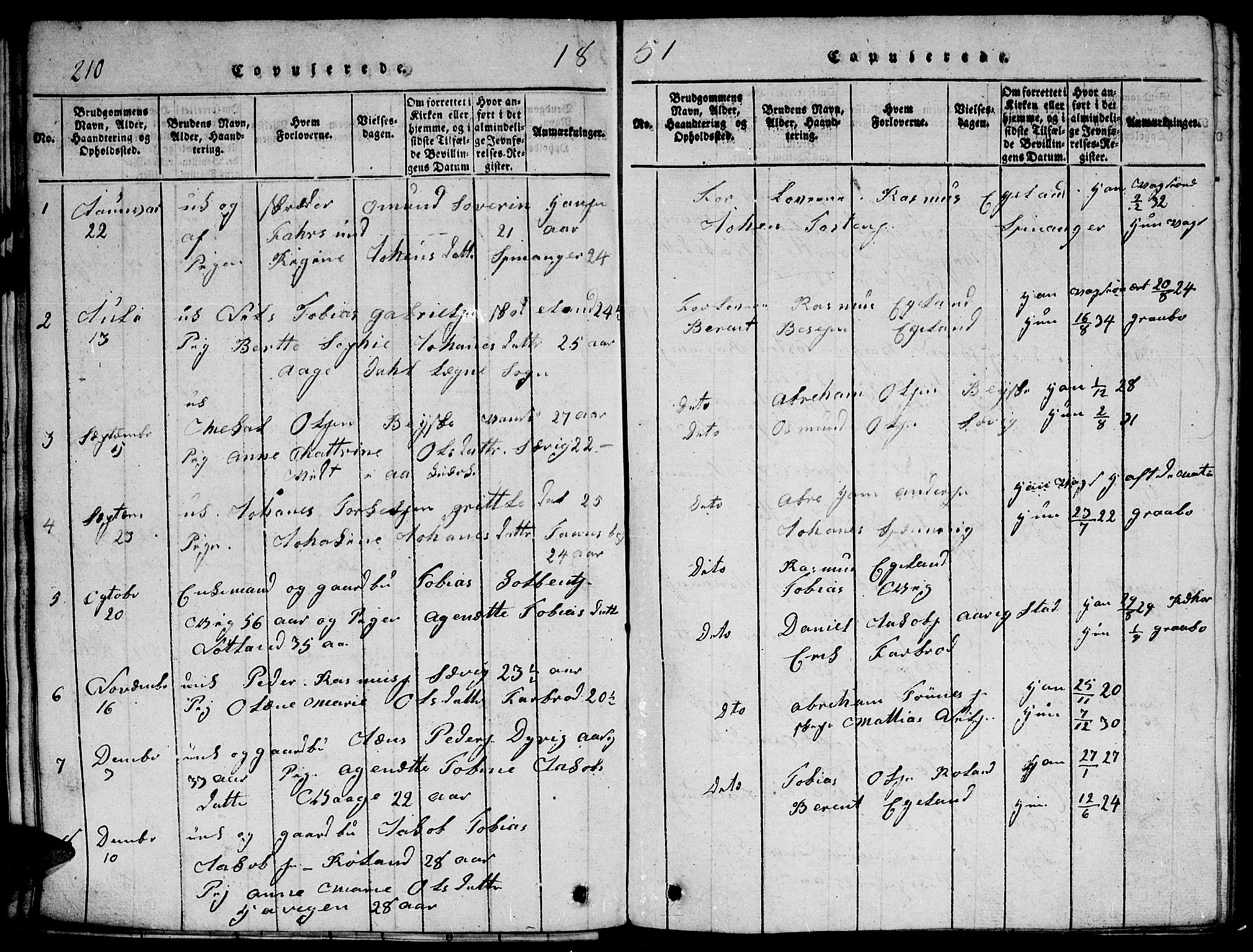 Herad sokneprestkontor, SAK/1111-0018/F/Fb/Fbb/L0001: Parish register (copy) no. B 1, 1815-1852, p. 210