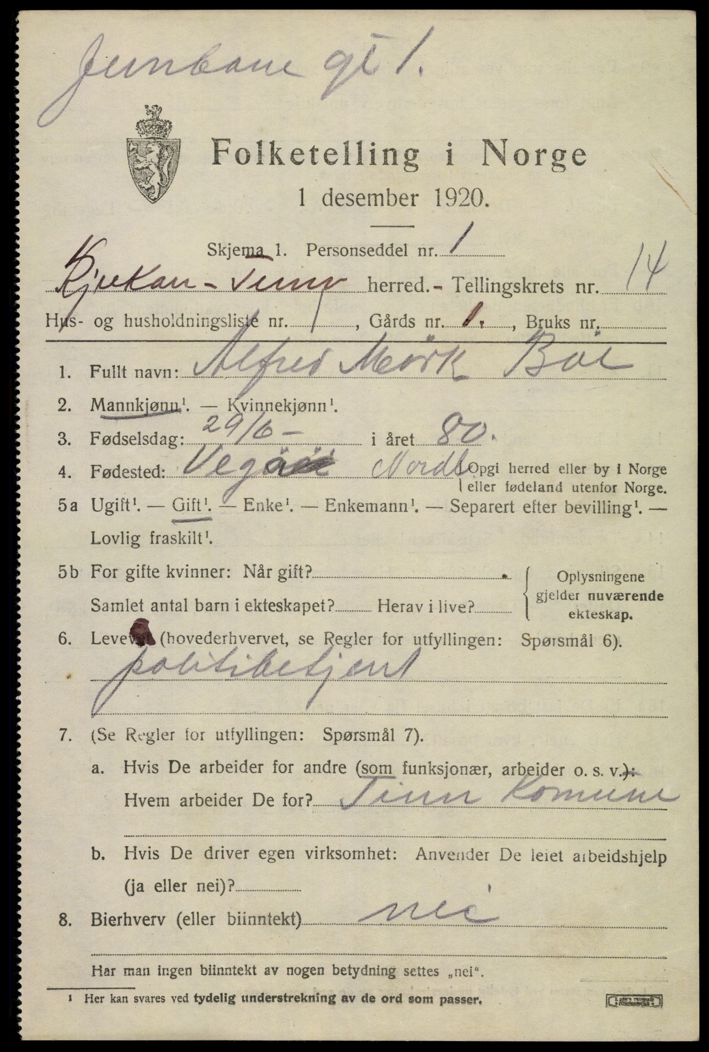 SAKO, 1920 census for Tinn, 1920, p. 8666