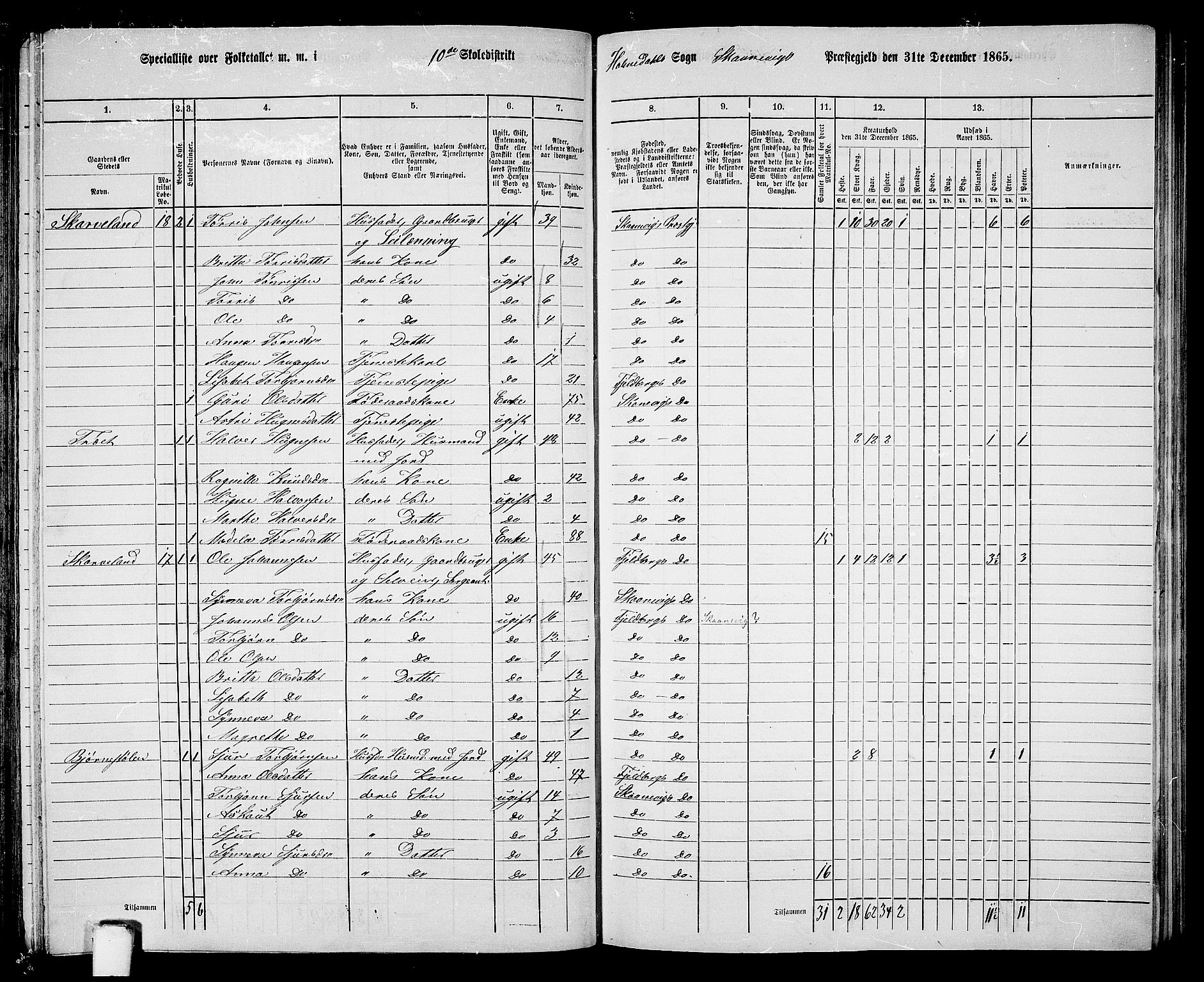 RA, 1865 census for Skånevik, 1865, p. 146