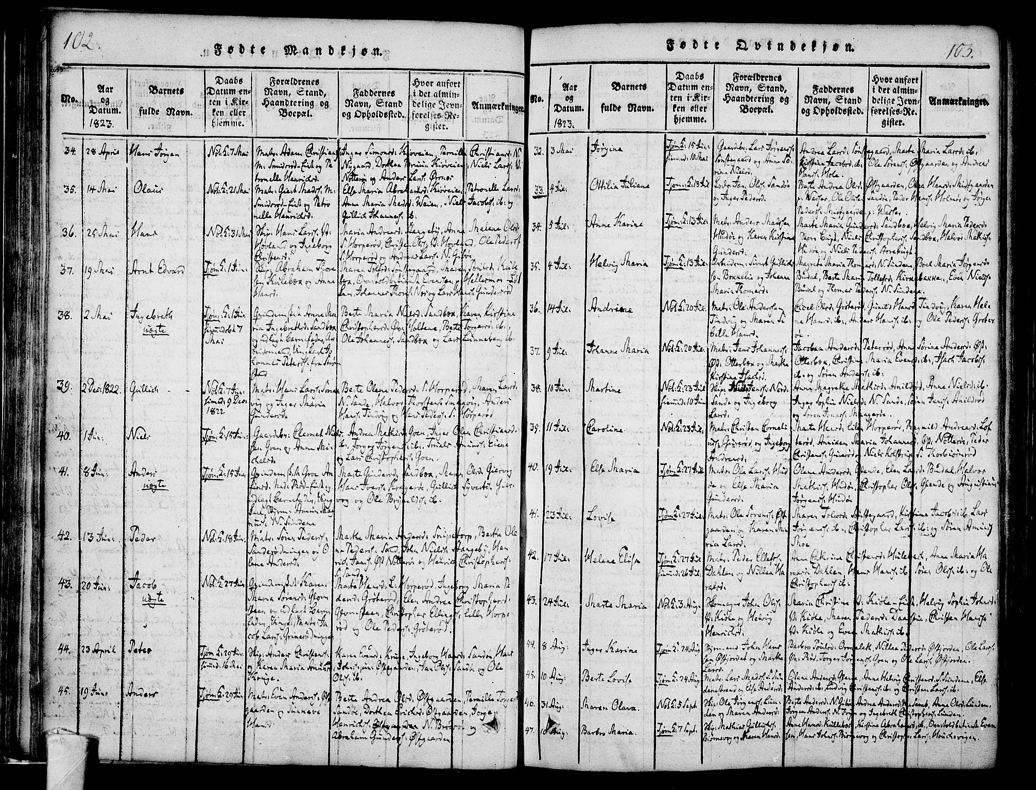 Nøtterøy kirkebøker, SAKO/A-354/F/Fa/L0004: Parish register (official) no. I 4, 1814-1838, p. 102-103
