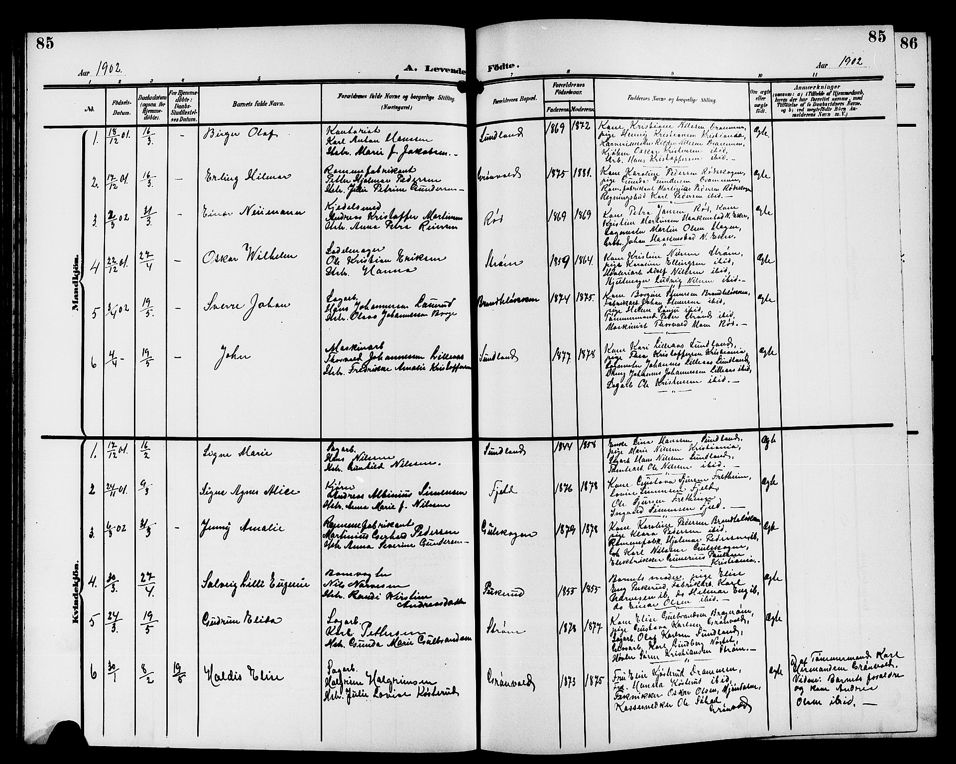 Strømsgodset kirkebøker, AV/SAKO-A-324/G/Ga/L0002: Parish register (copy) no. 2, 1885-1910, p. 85