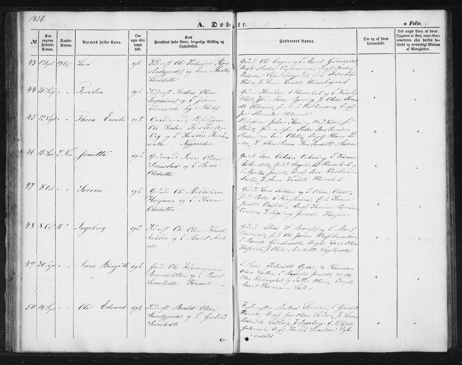 Ministerialprotokoller, klokkerbøker og fødselsregistre - Sør-Trøndelag, AV/SAT-A-1456/616/L0407: Parish register (official) no. 616A04, 1848-1856, p. 56