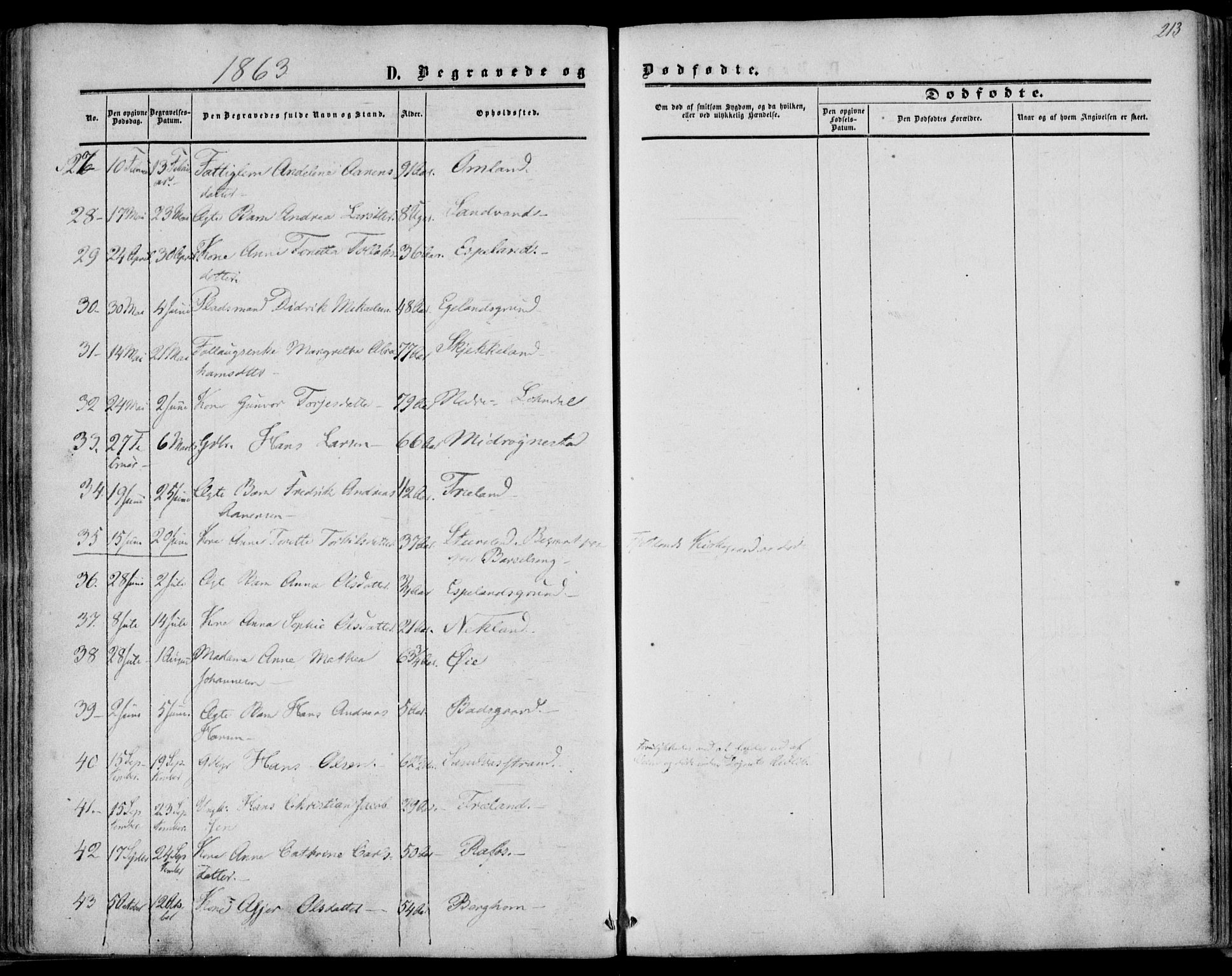 Kvinesdal sokneprestkontor, SAK/1111-0026/F/Fa/Fab/L0006: Parish register (official) no. A 6, 1857-1869, p. 213