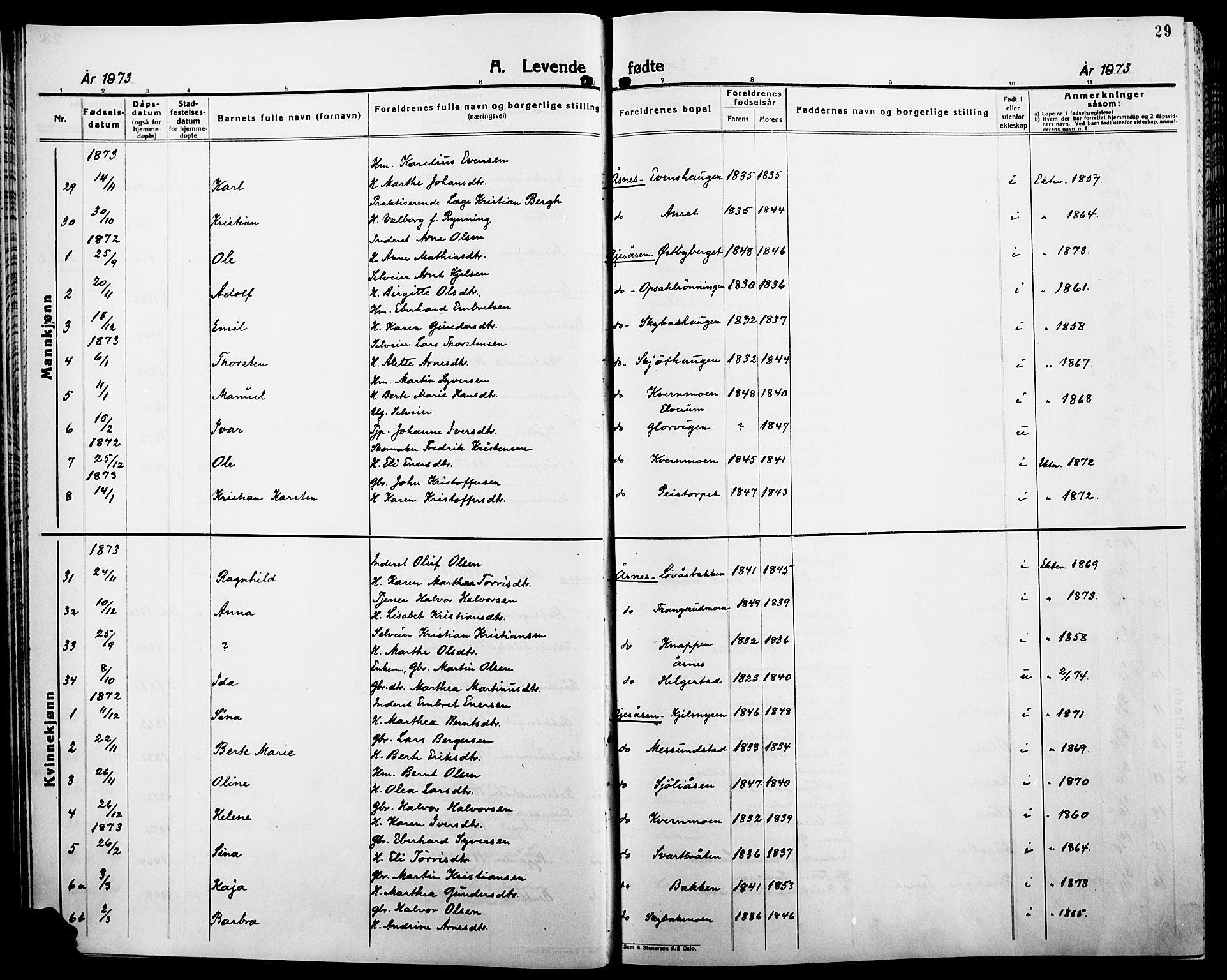 Åsnes prestekontor, AV/SAH-PREST-042/H/Ha/Haa/L0000B: Parish register (official), 1870-1889, p. 29