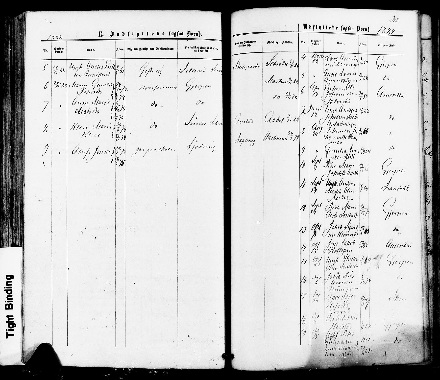 Siljan kirkebøker, AV/SAKO-A-300/F/Fa/L0002: Parish register (official) no. 2, 1870-1895, p. 238