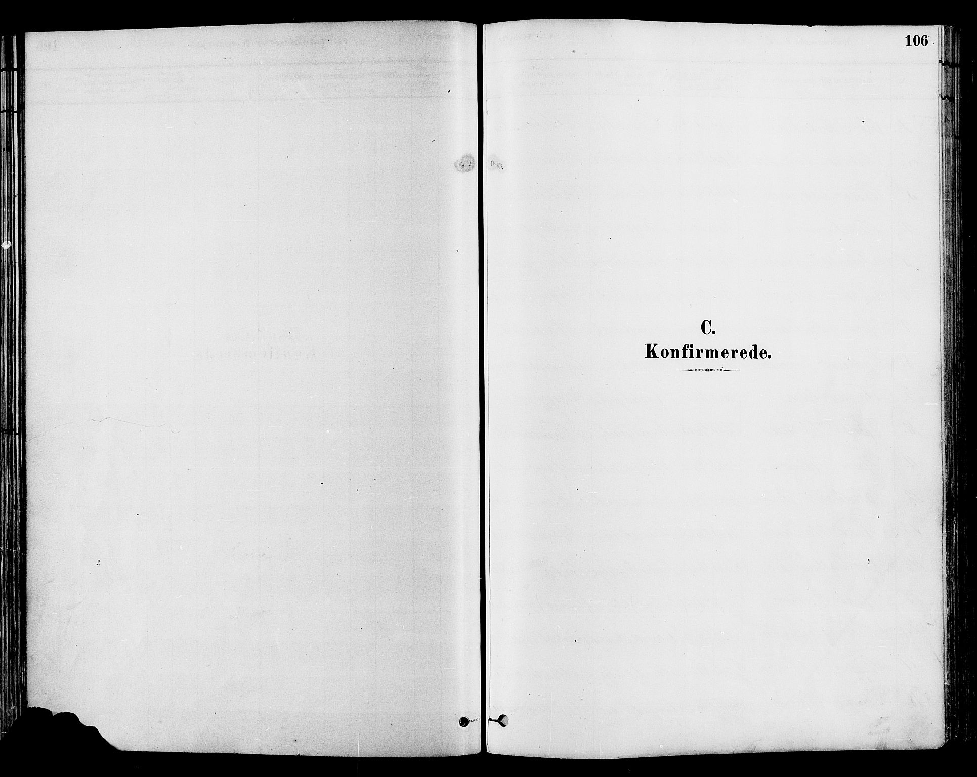 Gran prestekontor, SAH/PREST-112/H/Ha/Haa/L0014: Parish register (official) no. 14, 1880-1889, p. 106