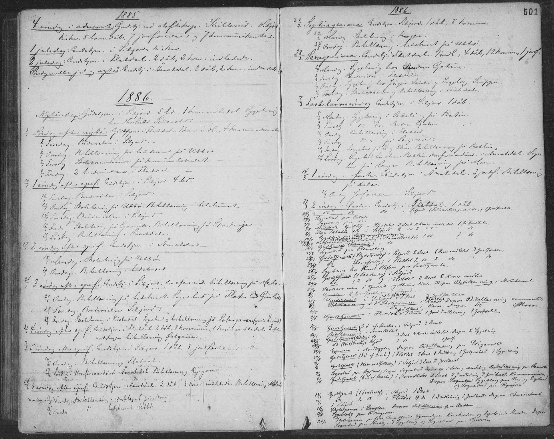 Seljord kirkebøker, SAKO/A-20/F/Fa/L0014: Parish register (official) no. I 14, 1877-1886, p. 501