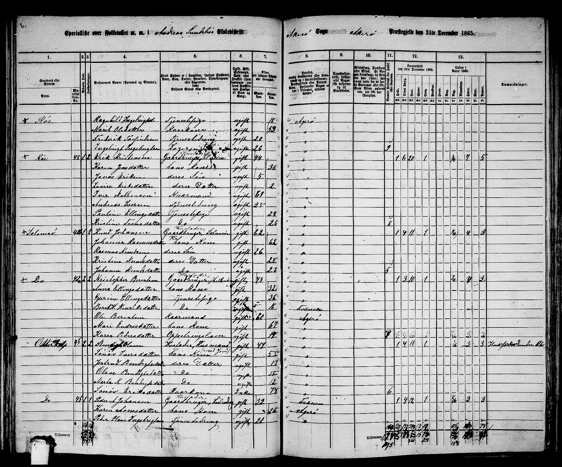 RA, 1865 census for Aukra, 1865, p. 88