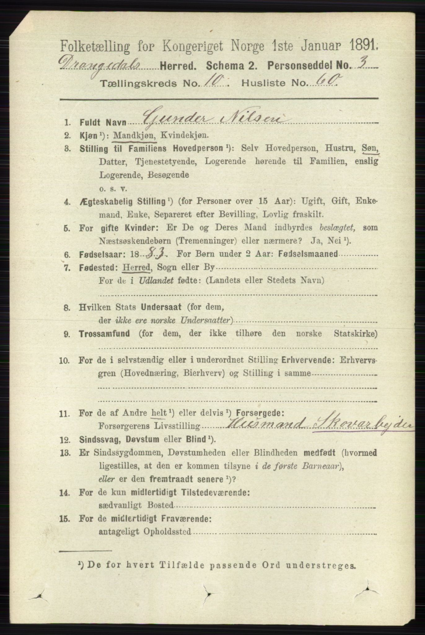 RA, 1891 census for 0817 Drangedal, 1891, p. 3802