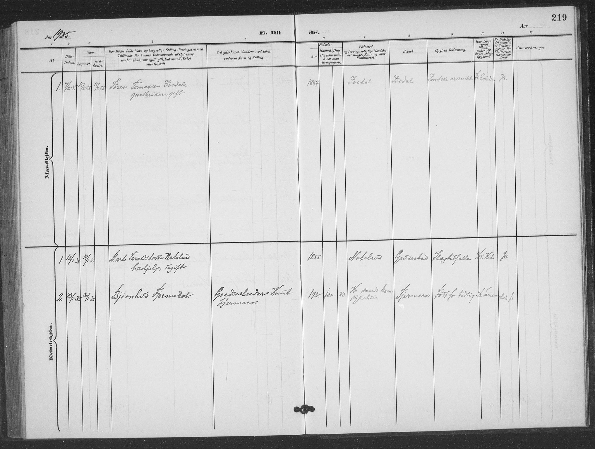 Evje sokneprestkontor, AV/SAK-1111-0008/F/Fb/Fbc/L0005: Parish register (copy) no. B 5, 1901-1935, p. 219