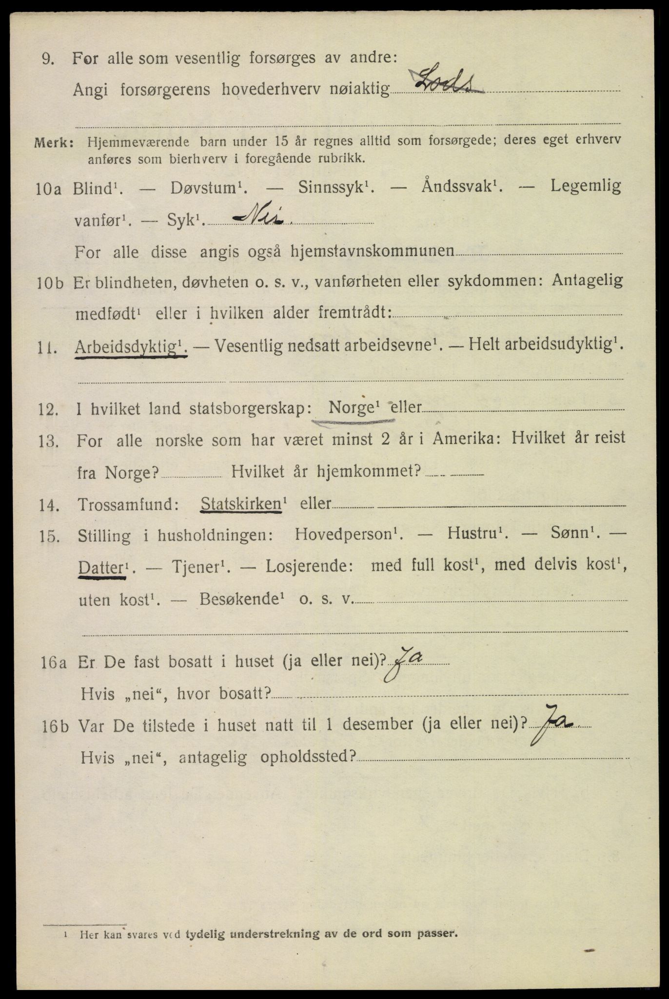 SAKO, 1920 census for Fredriksvern, 1920, p. 982