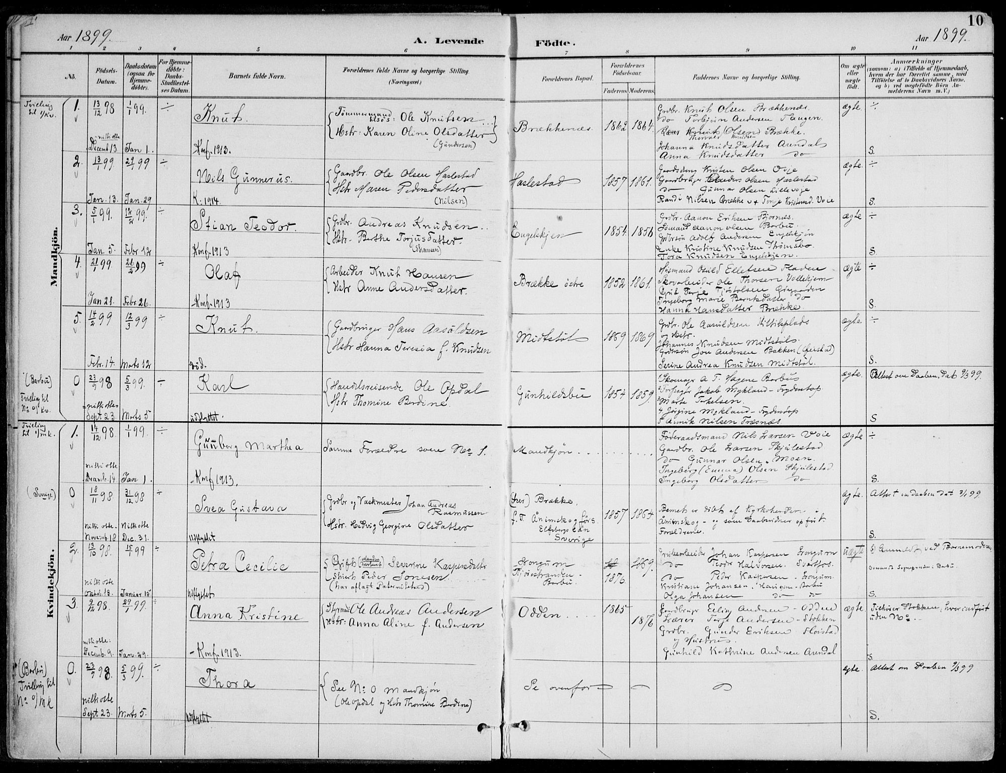 Austre Moland sokneprestkontor, AV/SAK-1111-0001/F/Fa/Faa/L0011: Parish register (official) no. A 11, 1894-1915, p. 10