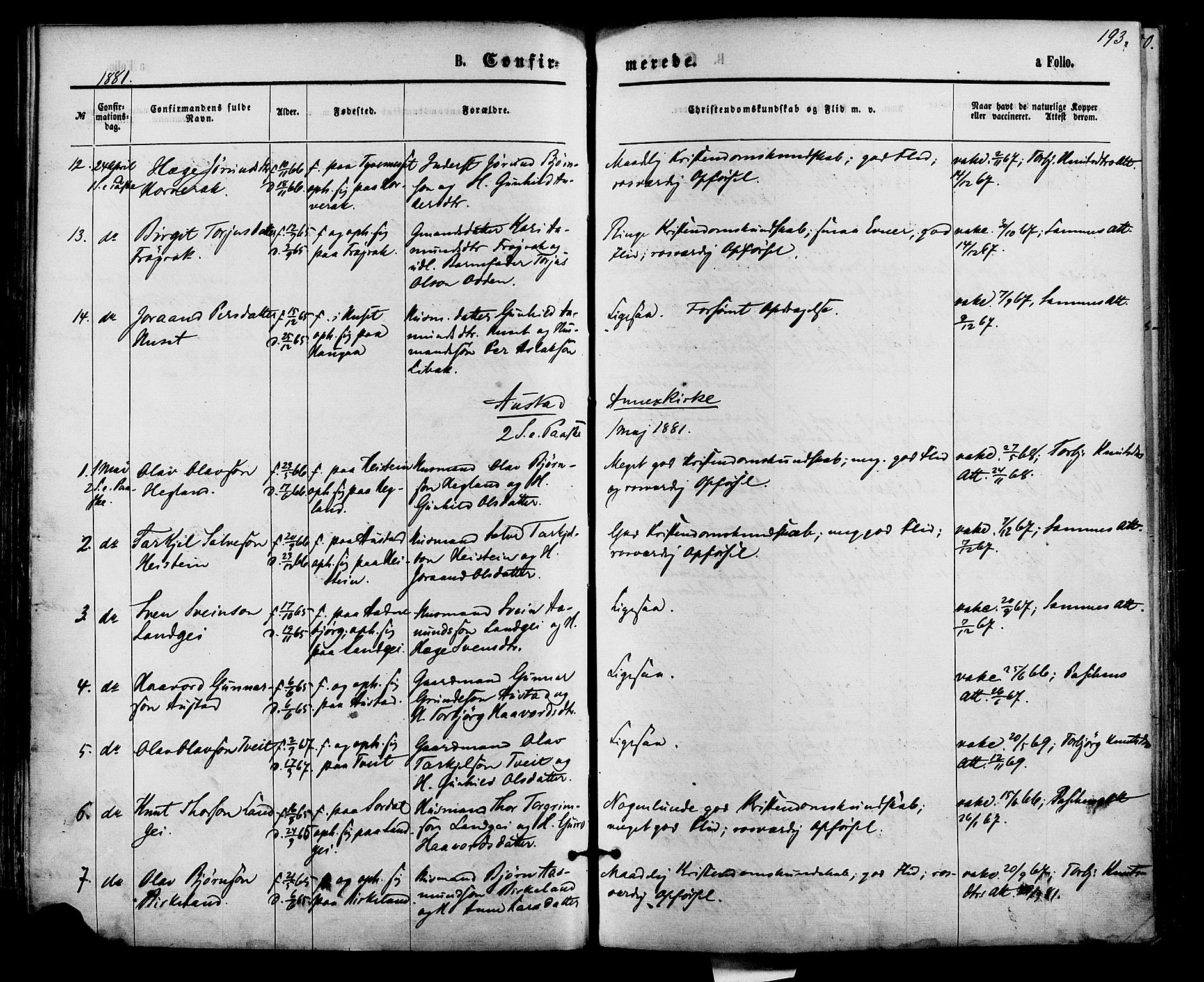 Bygland sokneprestkontor, AV/SAK-1111-0006/F/Fa/Fab/L0006: Parish register (official) no. A 6, 1873-1884, p. 193