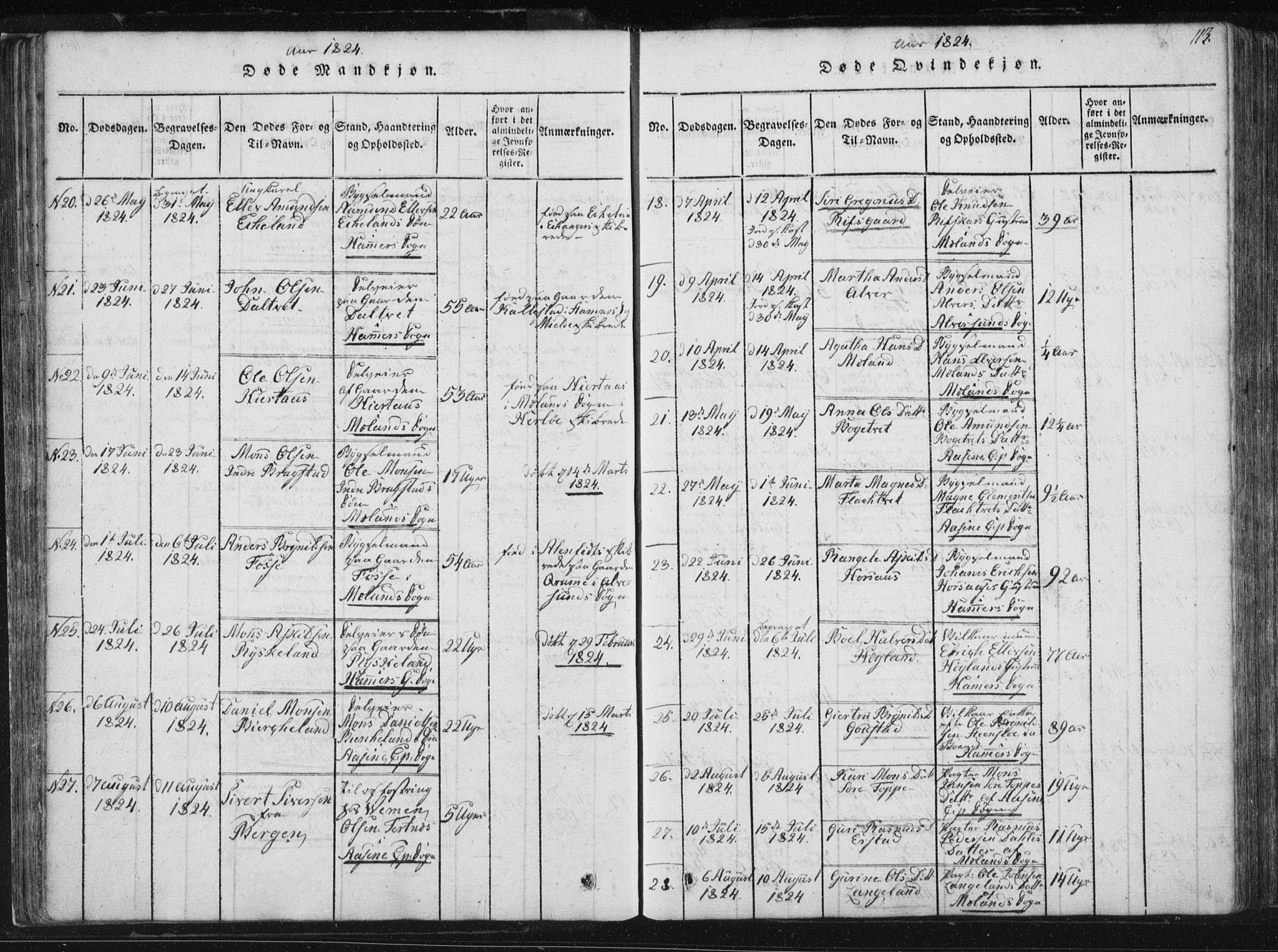 Hamre sokneprestembete, AV/SAB-A-75501/H/Ha/Haa/Haaa/L0010: Parish register (official) no. A 10, 1816-1826, p. 113