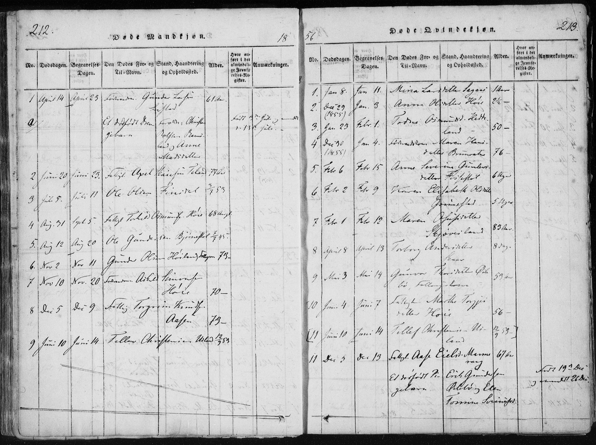 Holum sokneprestkontor, AV/SAK-1111-0022/F/Fa/Fac/L0002: Parish register (official) no. A 2, 1821-1859, p. 212-213