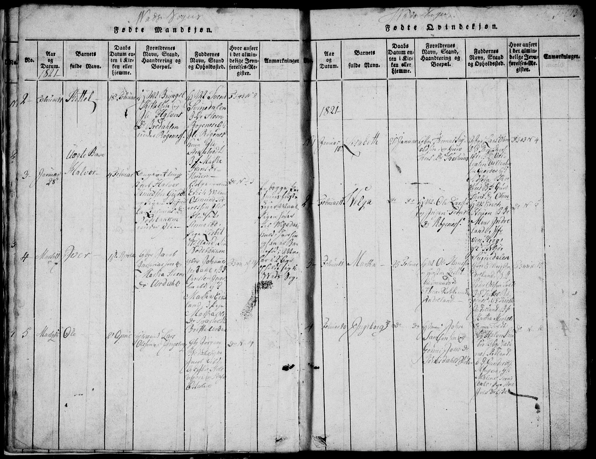 Skjold sokneprestkontor, AV/SAST-A-101847/H/Ha/Hab/L0002: Parish register (copy) no. B 2 /2, 1815-1830, p. 13